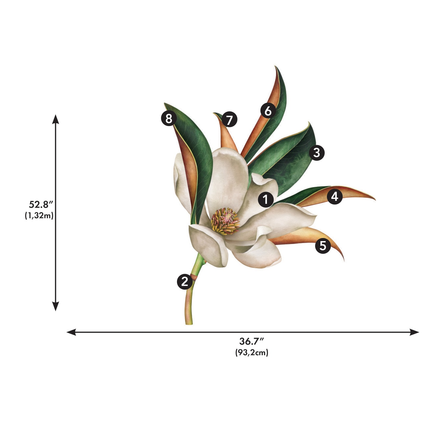 Vintage Magnolia Peel and Stick Giant Wall Decal