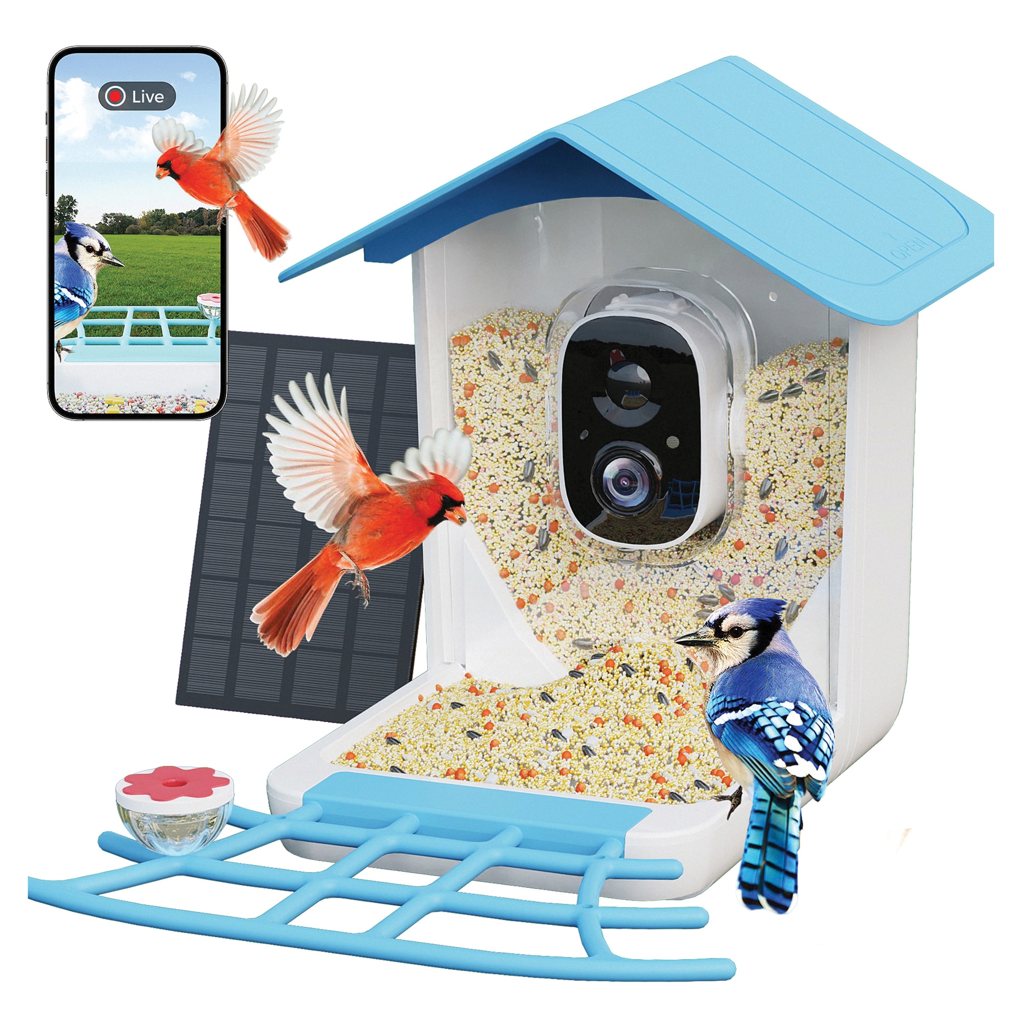 Sky Blue Canopy Plastic Squirrel-Resistant Platform Bird Feeder with Camera