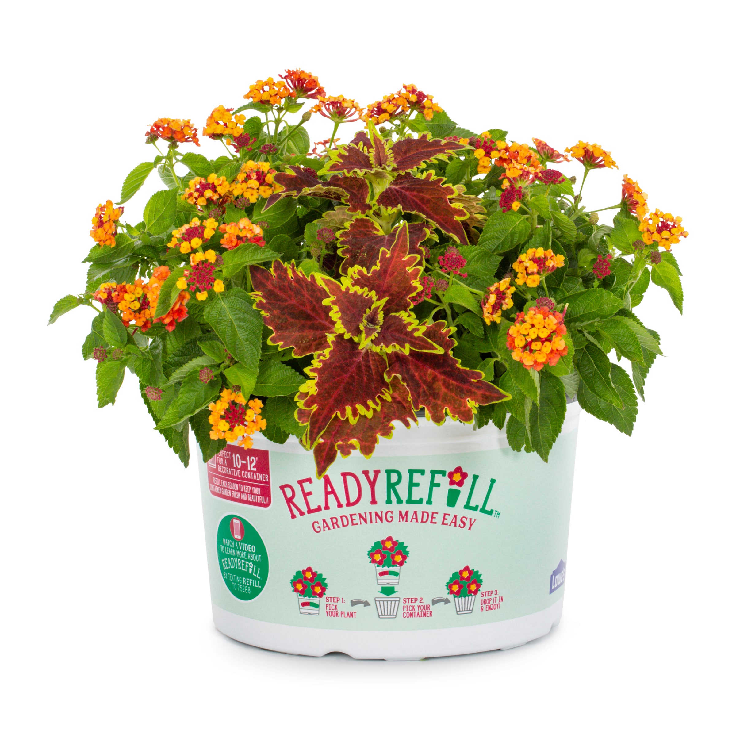 Ready Refill NURSERY Multicolor Mixed Annuals Combinations in Gallon(s) Pot