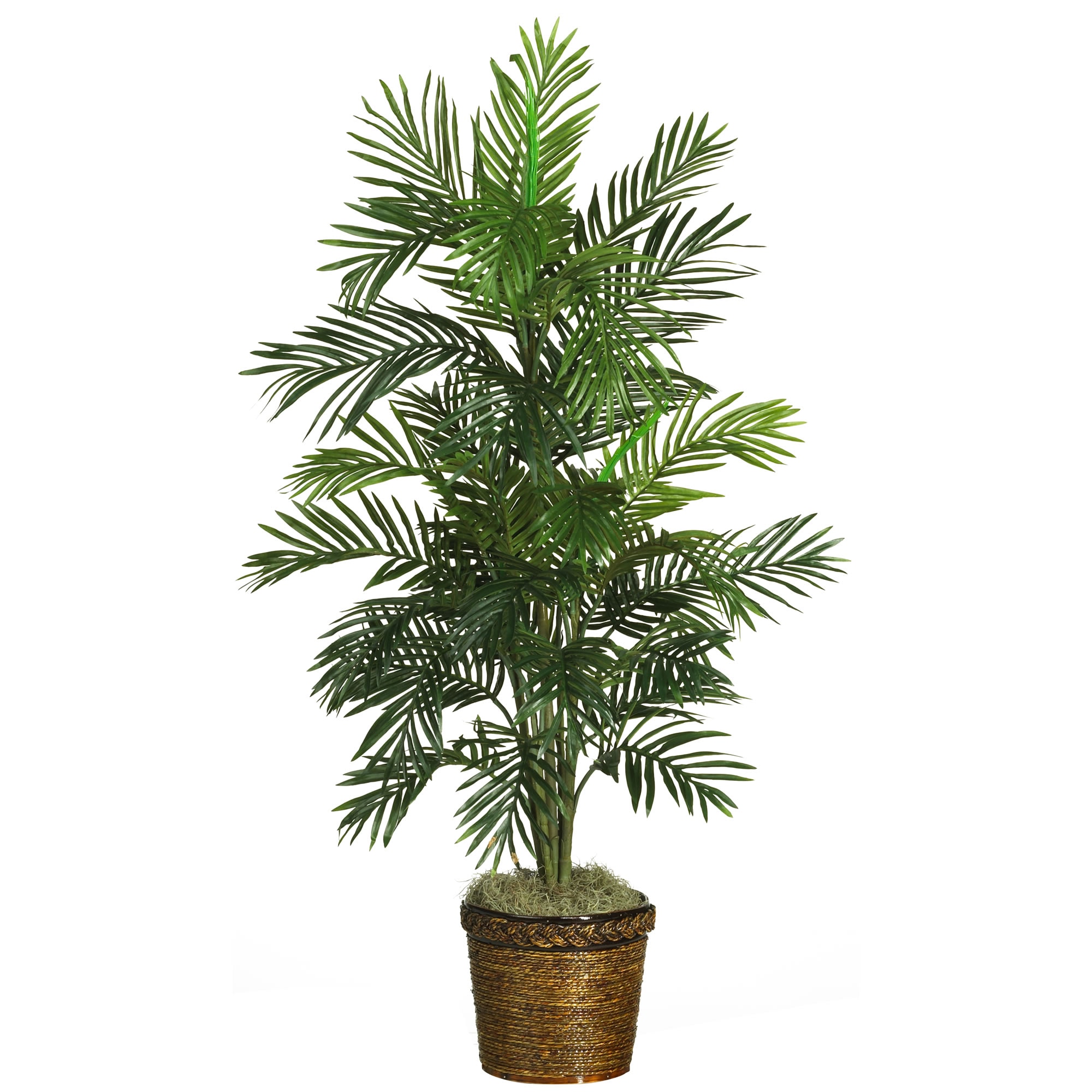 56" Green Silk Areca Palm Tree in Wicker Basket