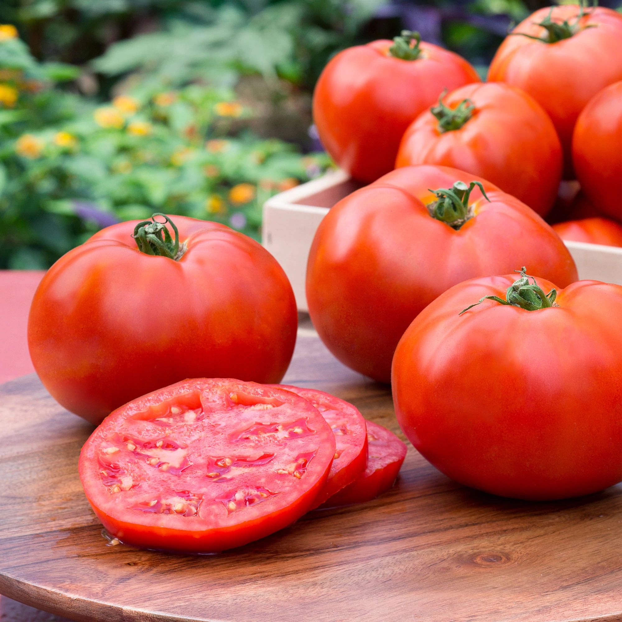 Bonnie Plants 16-331069 Vegetable-Plants - View #7
