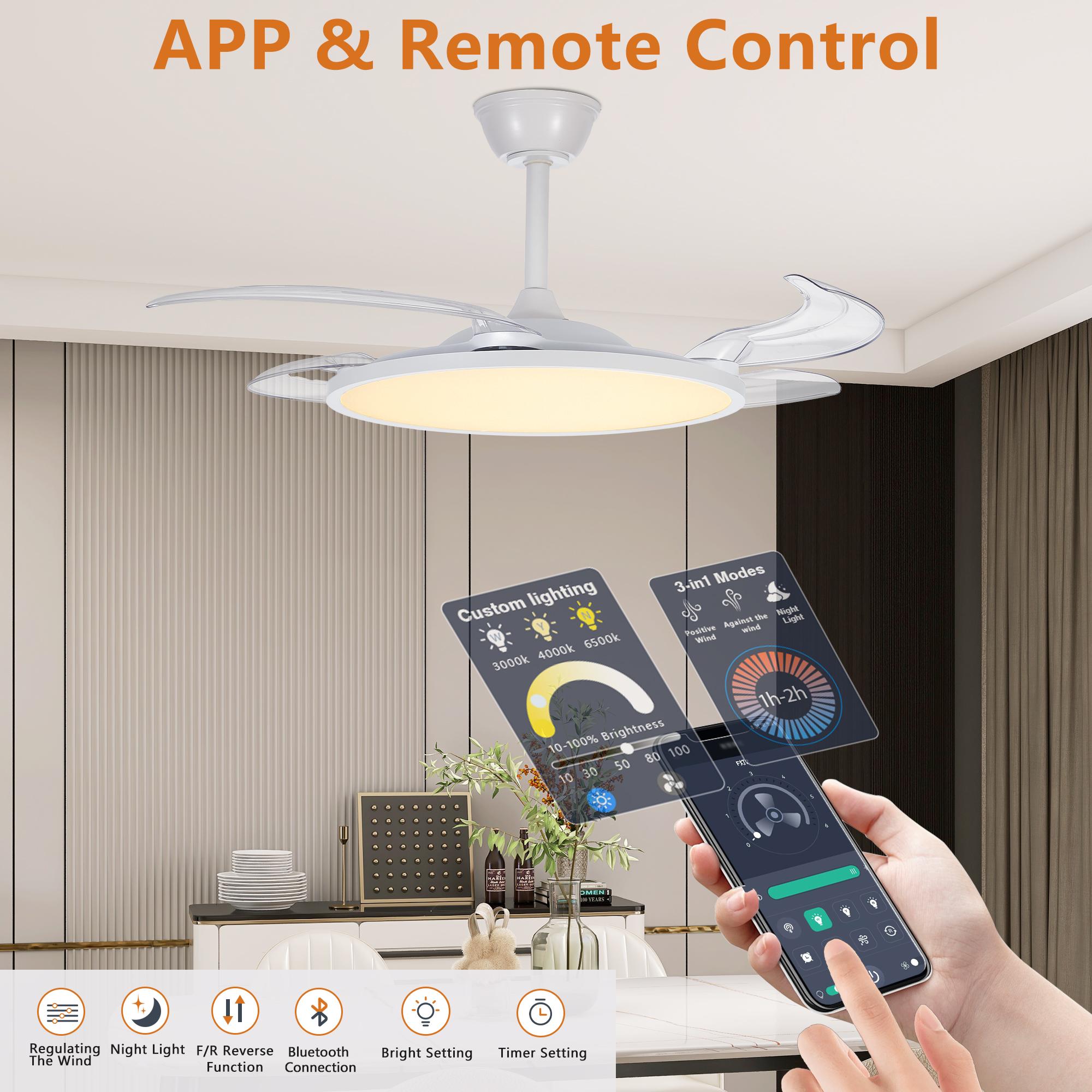 Bayfeve BFKS-93987-CF Ceiling-Fans - View #7