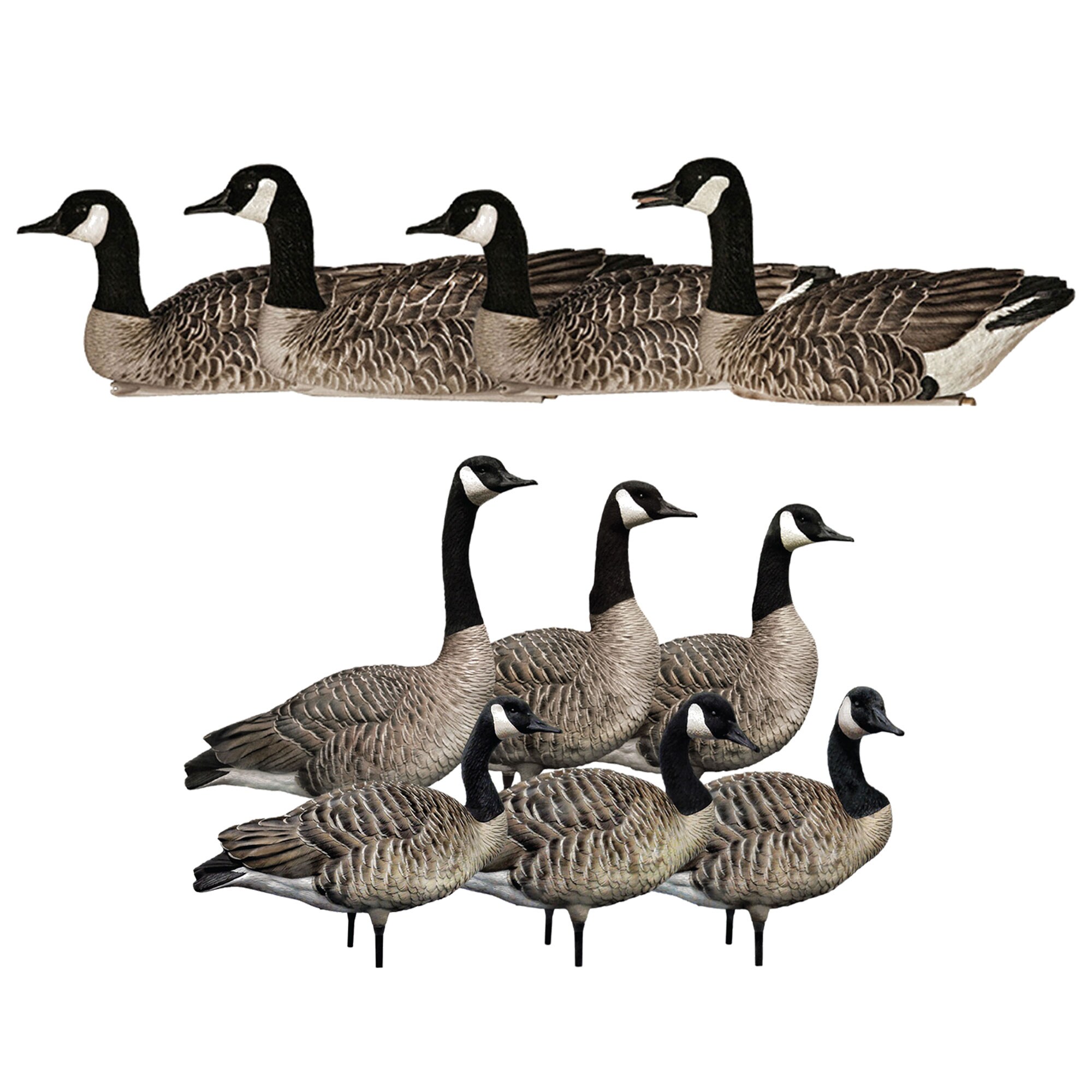  Avian X 408523 23.30 x 23 x 14.50 inches Inche(s) Decoy 10 -Pack