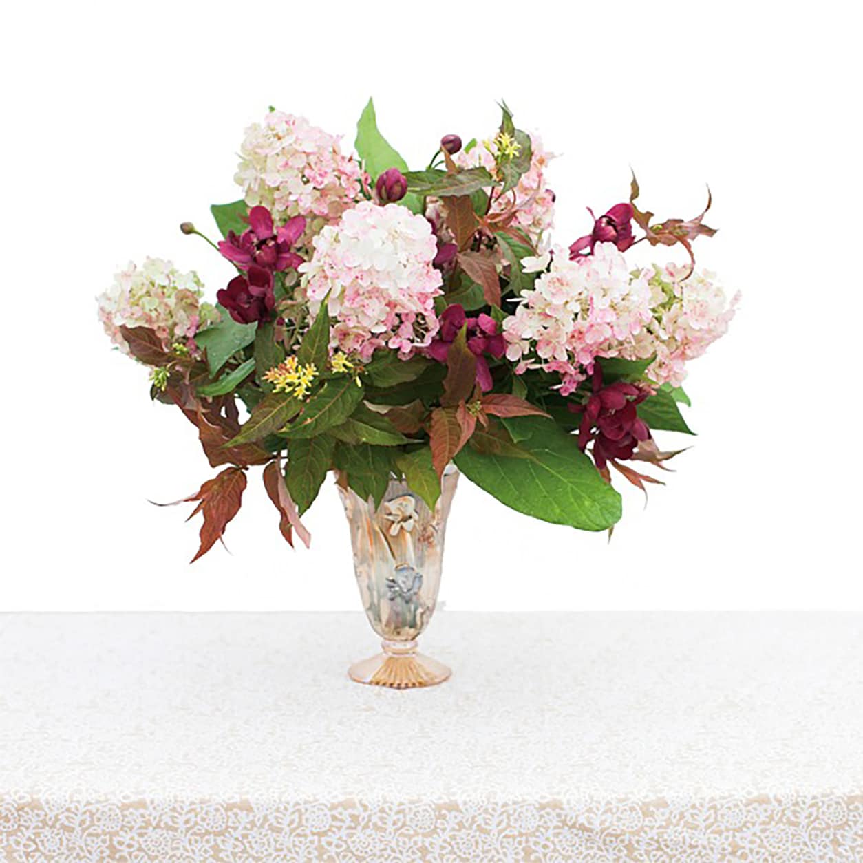 Proven Winners CACPRC1007800 shrubs - View #3