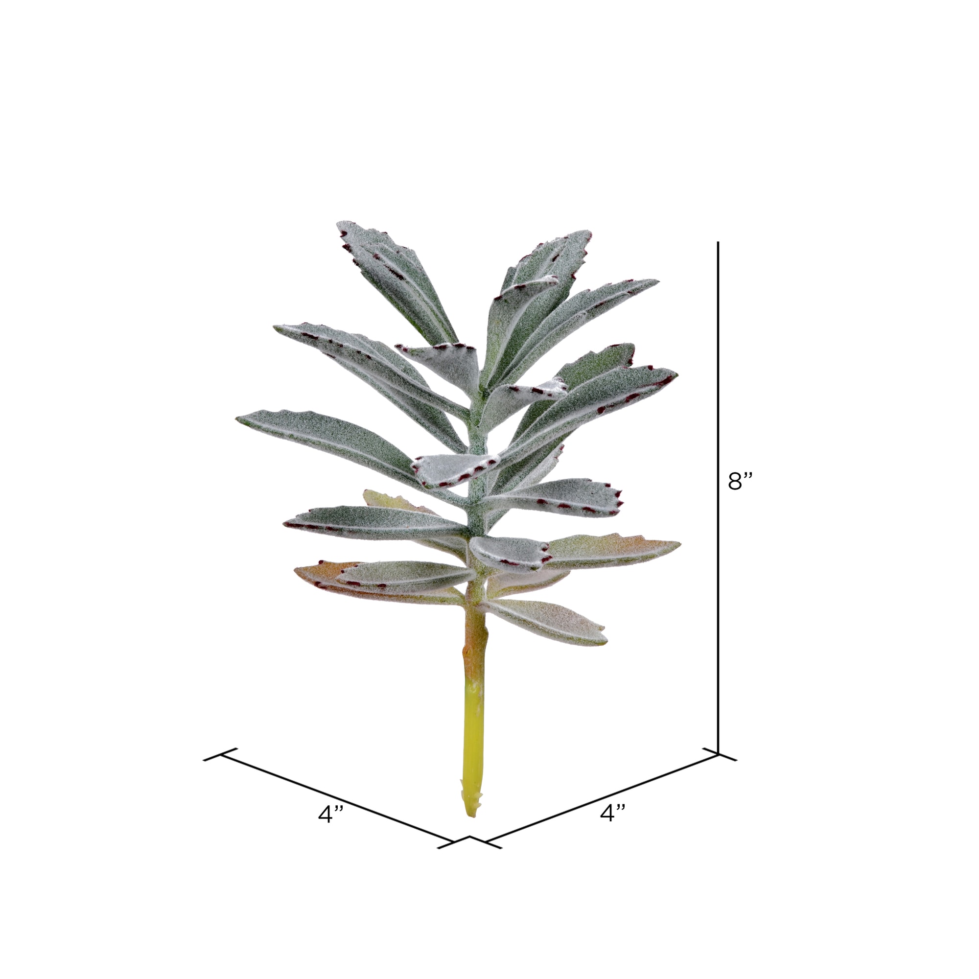 Vickerman FE191008 Artificial-Plants-Trees - View #2