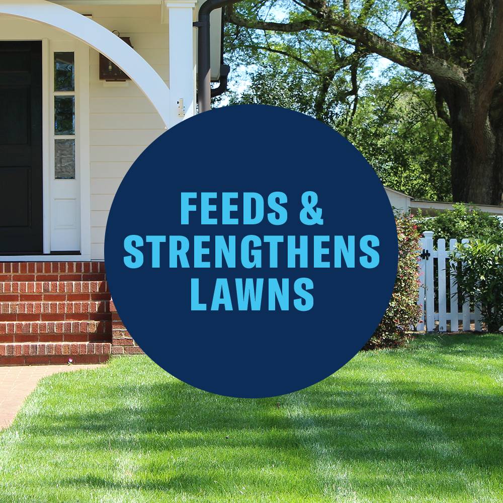 BioAdvanced 820106 Lawn-Fertilizer - View #7