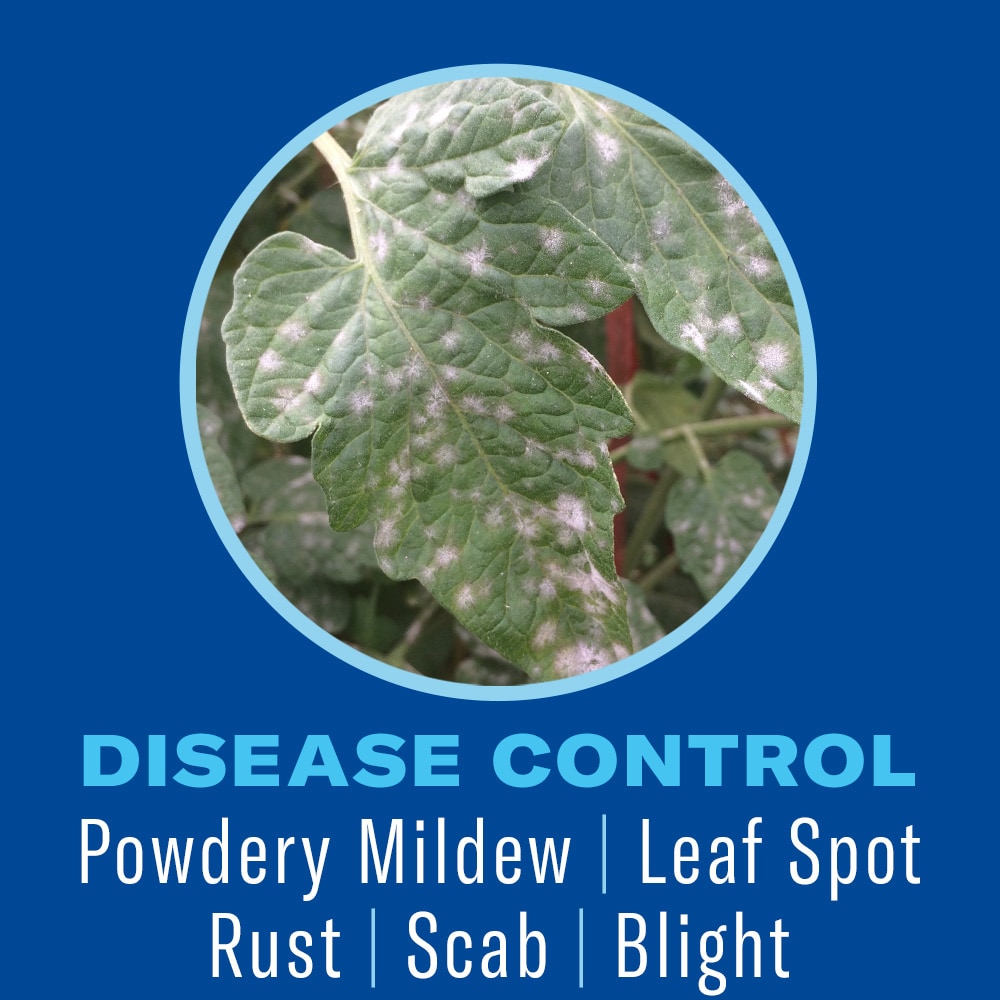 BioAdvanced 800100 pesticides - View #4