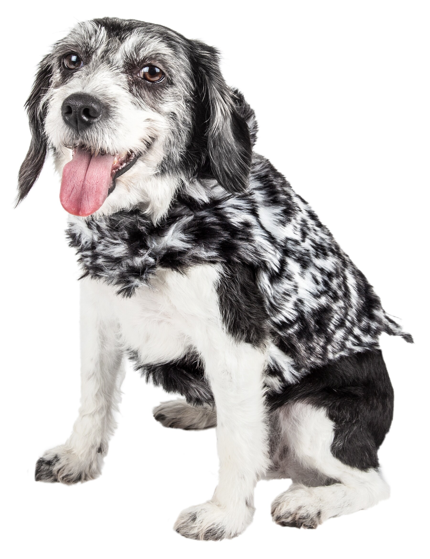 Pet Life 41BGMD Dog-Apparel - View #2