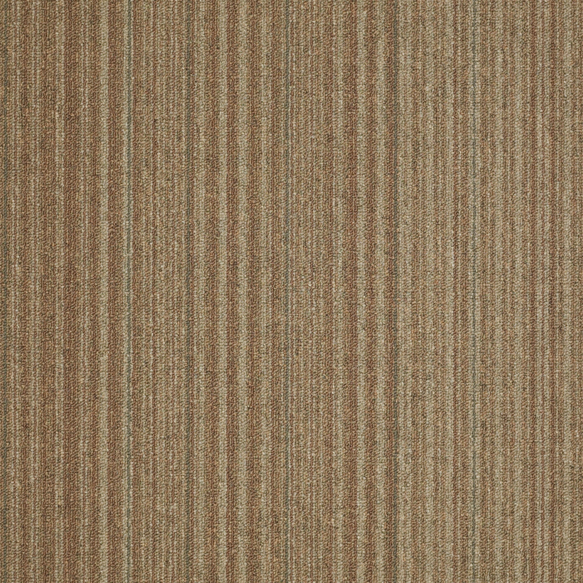 Shaw 7L80700211 In The Groove 24-in x 24-in Strike It Rich Brown Commercial Adhesive Indoor Carpet Tile ( 48-sq ft )