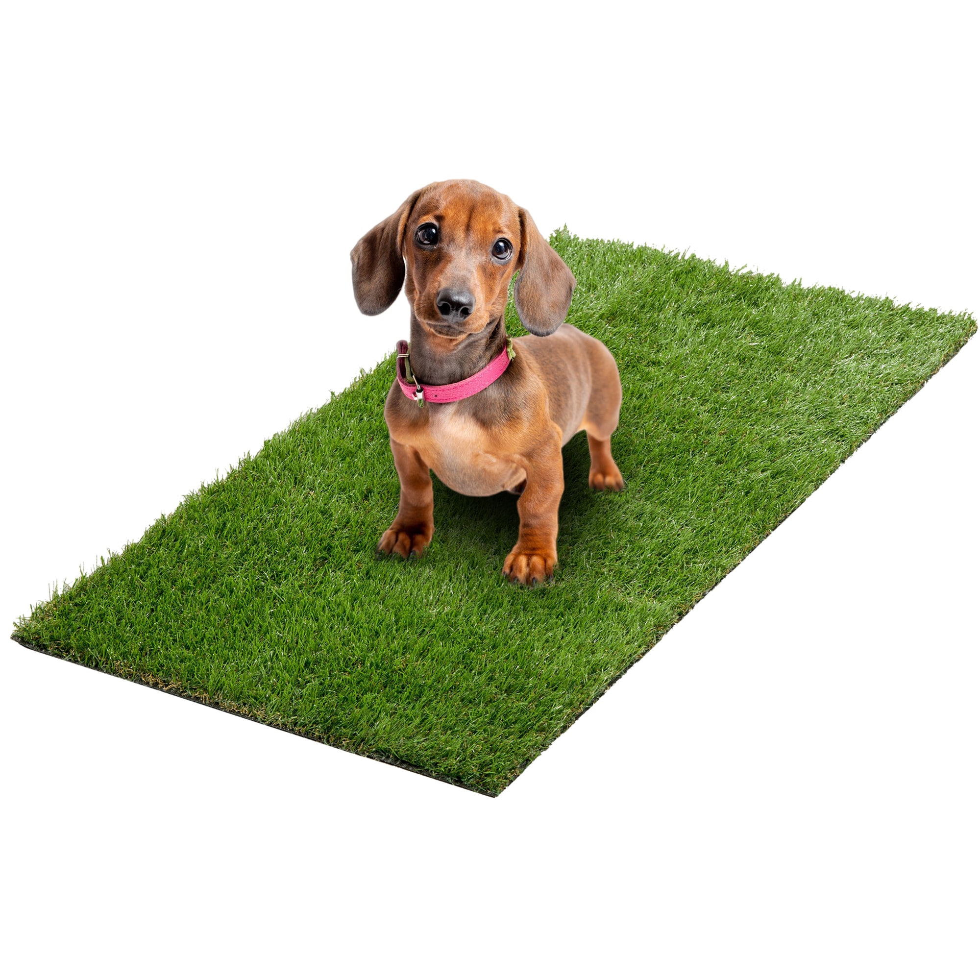 Ottomanson PET800-REP-PDM Puppy-Pads - View #2