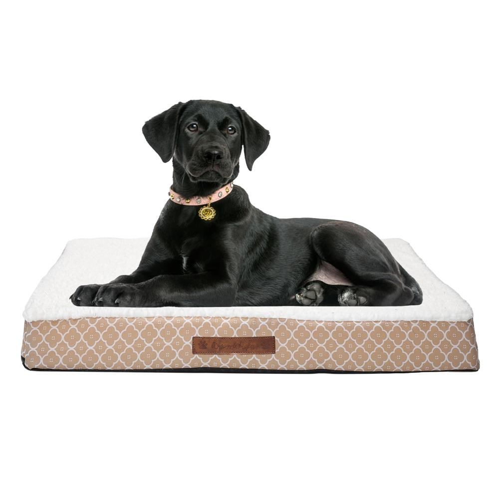 Duck River Textile ANHTP=12 /15866 Rectangular Taupe Polyester Orthopedic Dog Bed ( Medium )