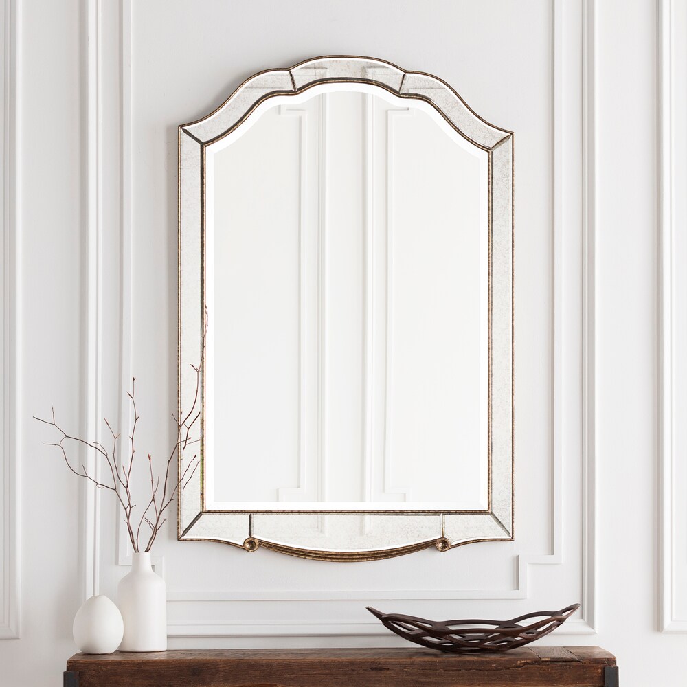 Livabliss Oleander OND-2500 48 inch H x 32 inch W Mirror at Lowes.com