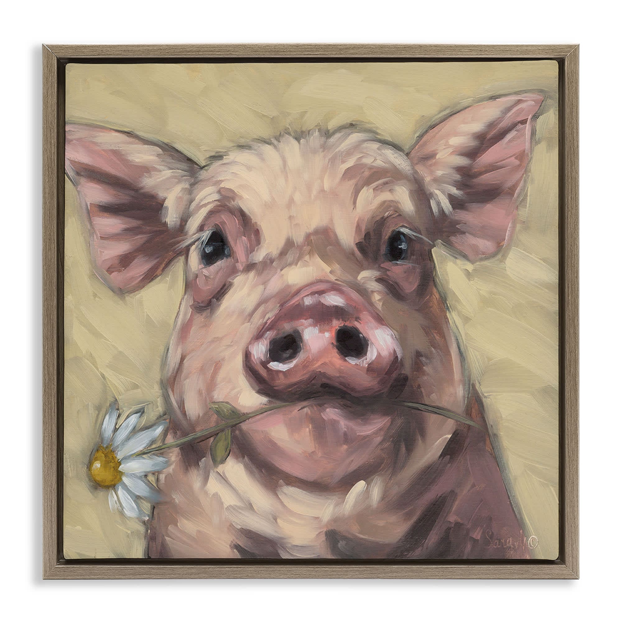 Stupell Industries BS-678-FFE-24X24 Pig Holding Daisy Sprig Brown Framed Floater Canvas Wall Art By Sara G. Designs 25 x 25