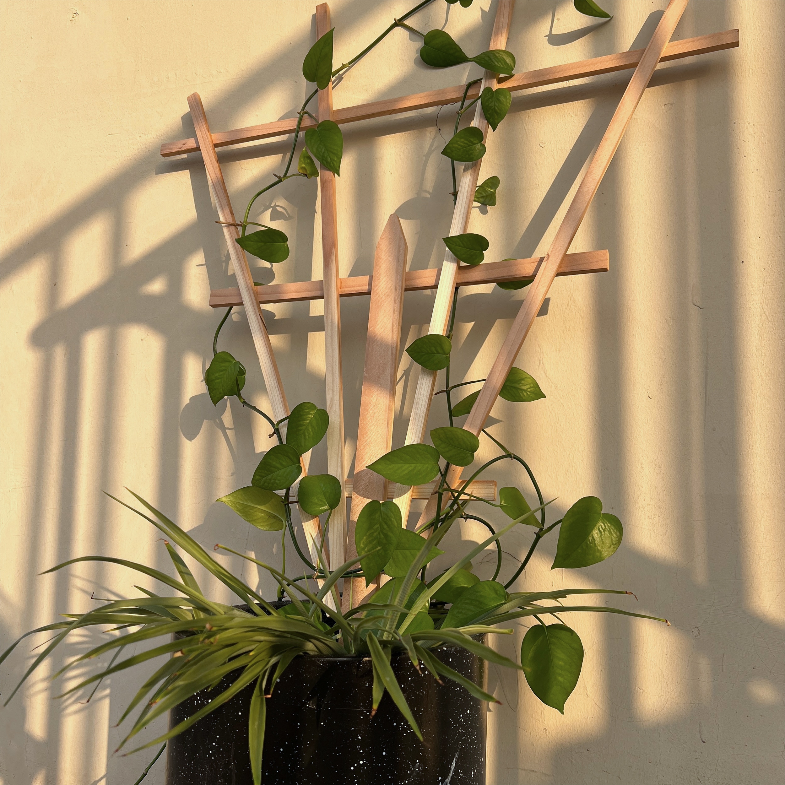 Style Selections TARJ310A Garden-Trellis - View #8