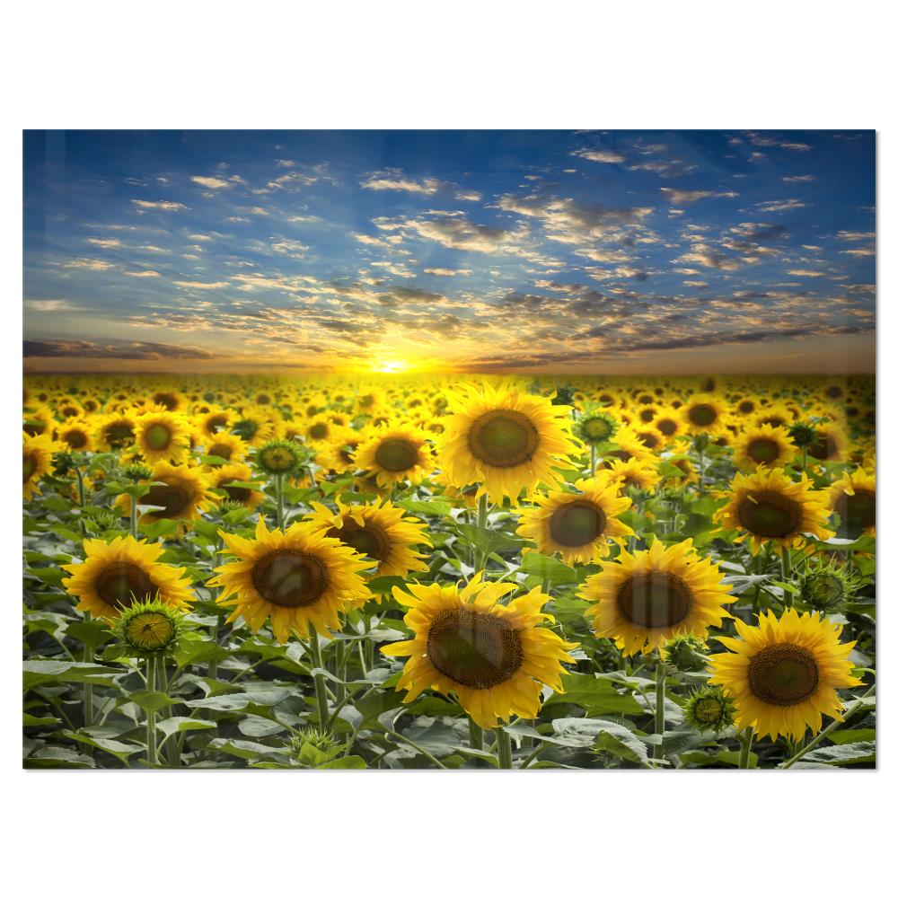 Designart 30-in H x 40-in W Floral Metal Print at Lowes.com