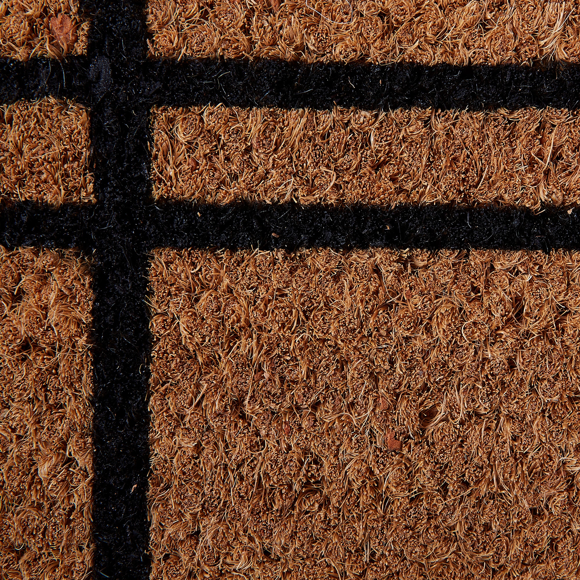 DII CAMZ11468 Mats-Cat - View #2