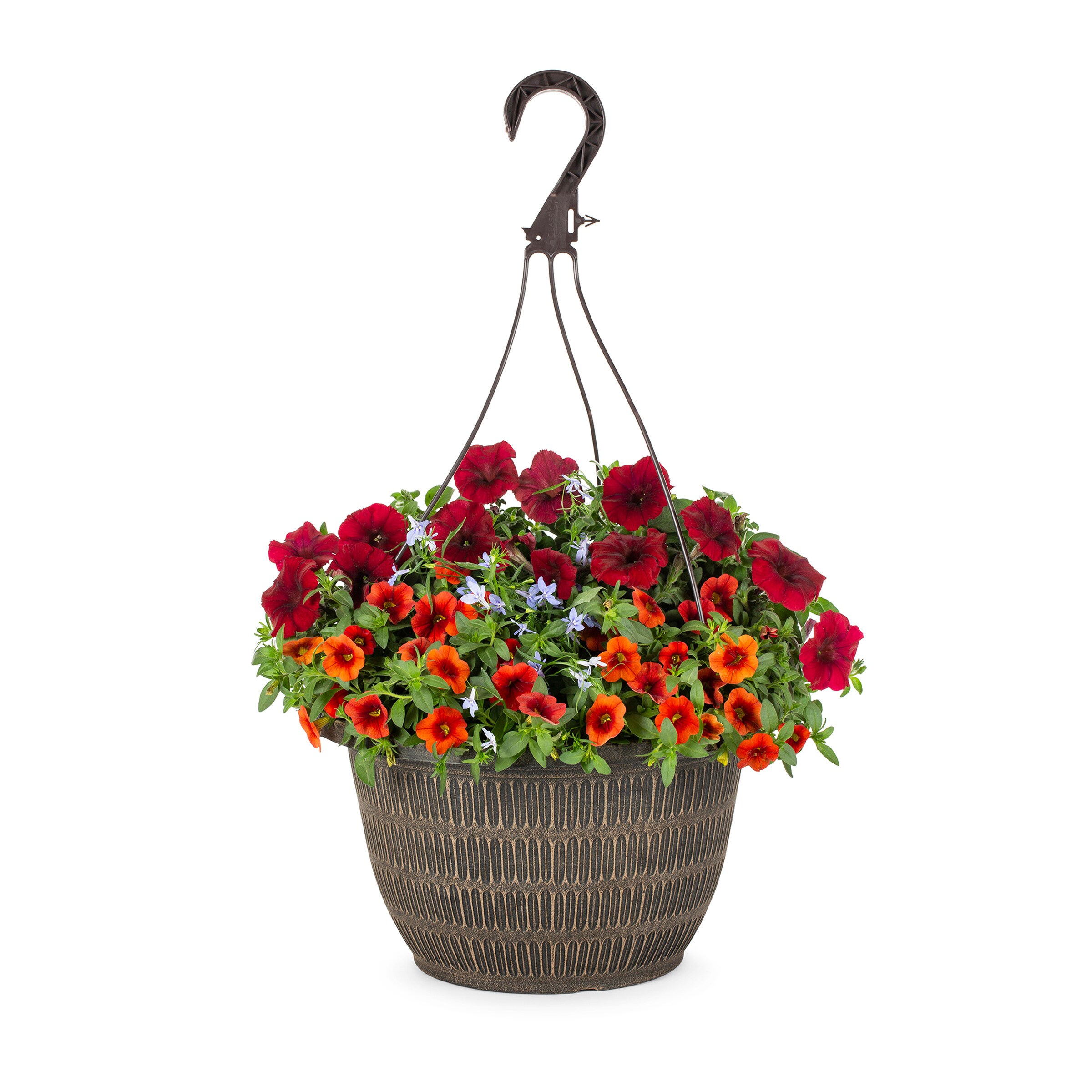 Lowe's Multicolor Mixed Annuals Combinations Hanging Basket in the