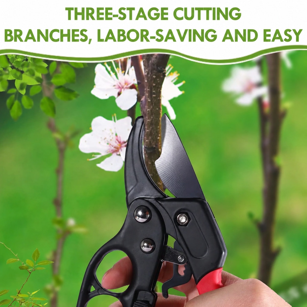 Linder Group Inc L3MT3BFG scissors - View #5