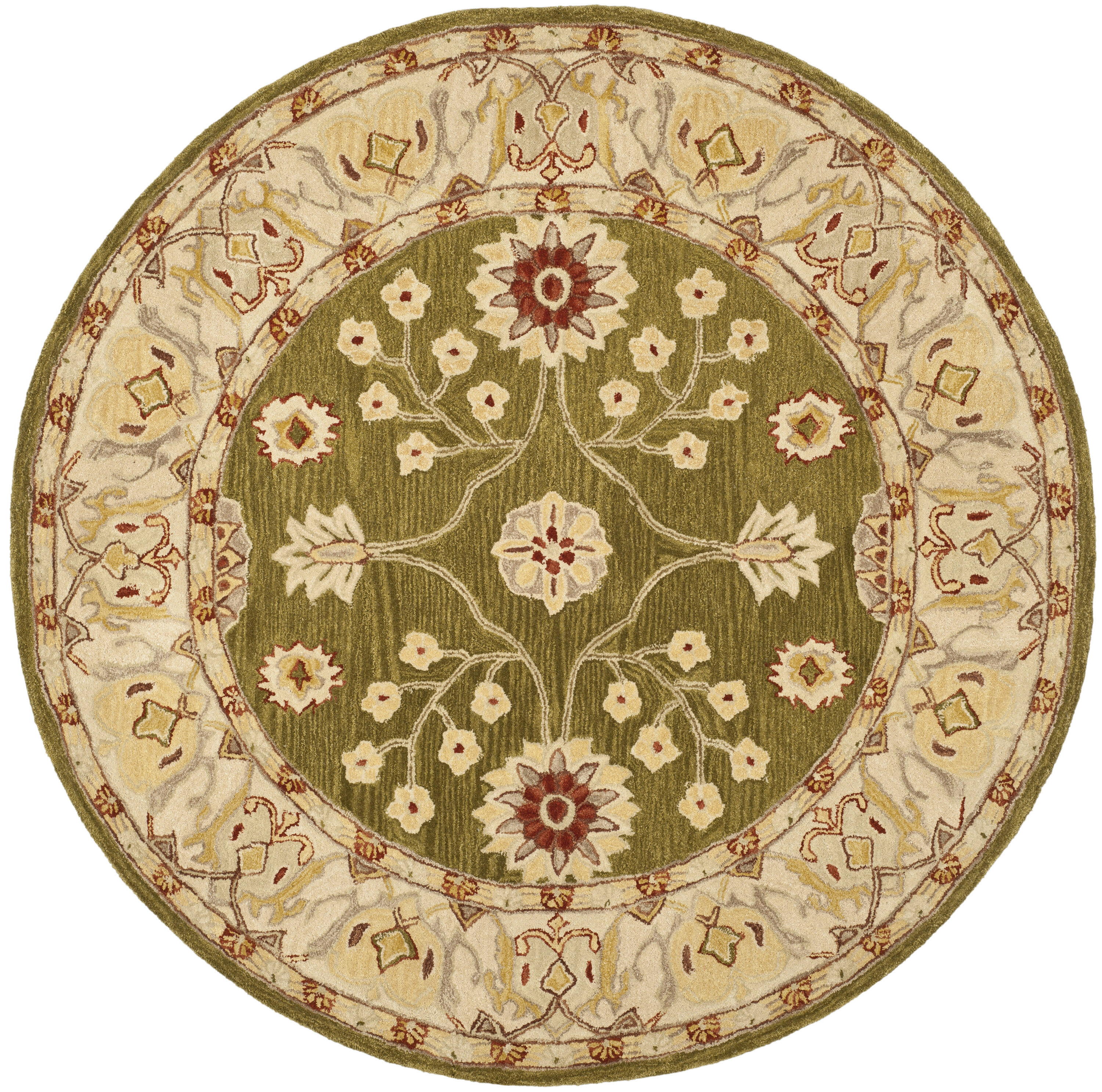 Safavieh AN562D-6R rugs - View #2