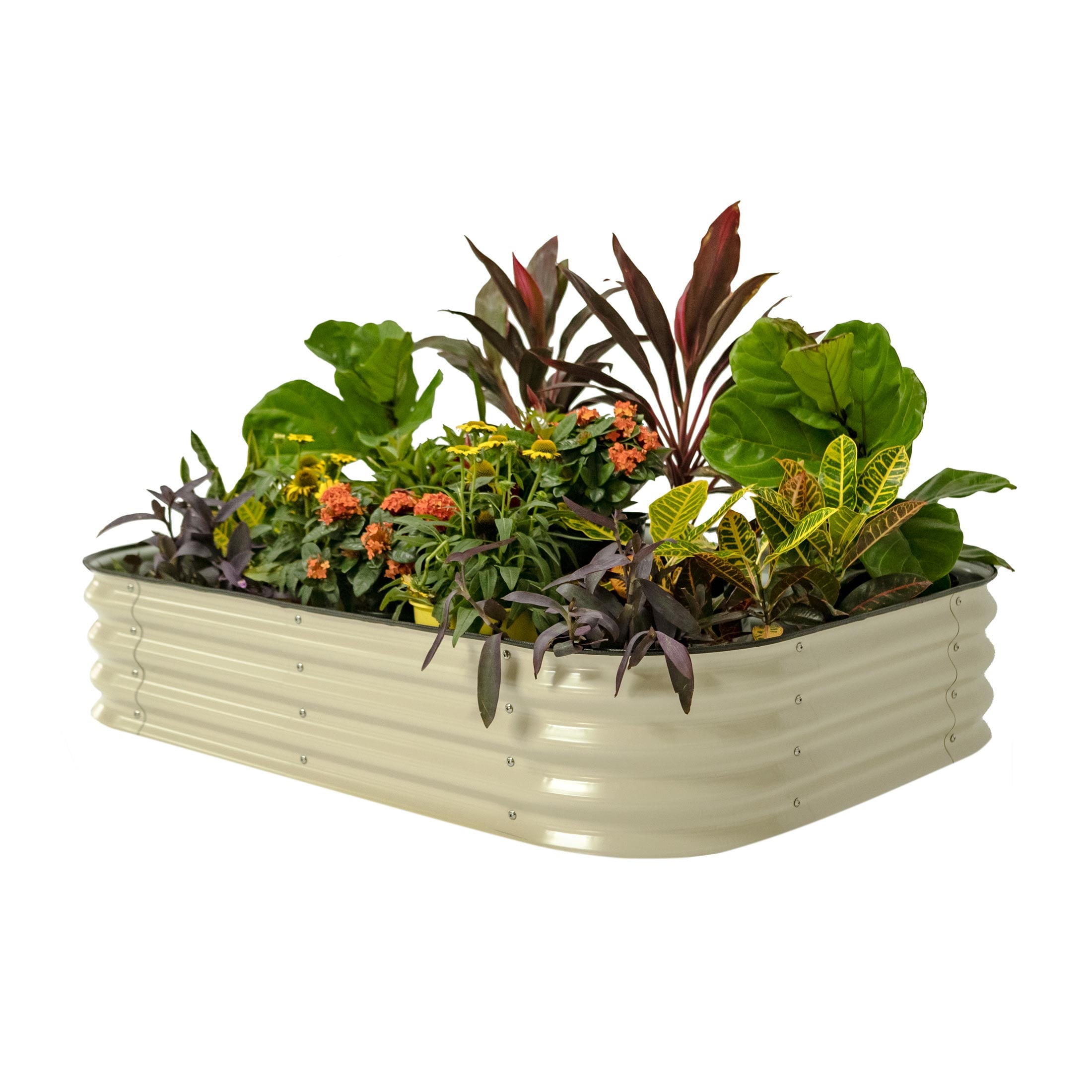 Vego Garden VB6N111W 16-cu ft 42-in W x 60-in L x 11-in H Pearl White Galvanized Metal Raised Garden Bed