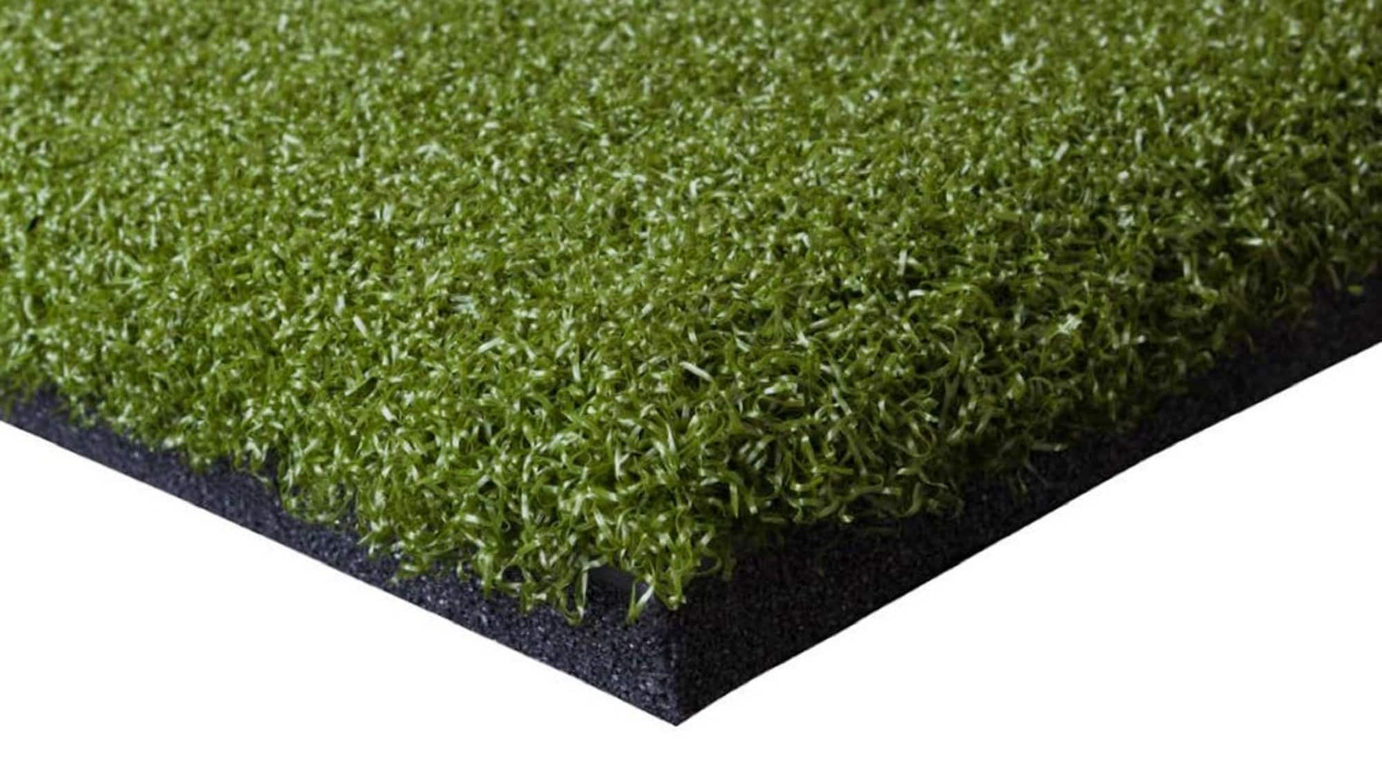 DuraPlay 5-ft X 4-ft Artificial Grass At Lowes.com