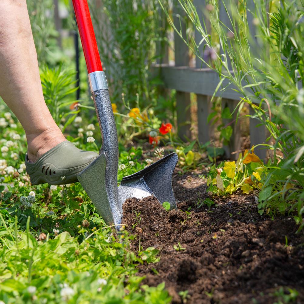 Root Assassin 43-in Poly D Handle Digging Shovel In The Shovels ...