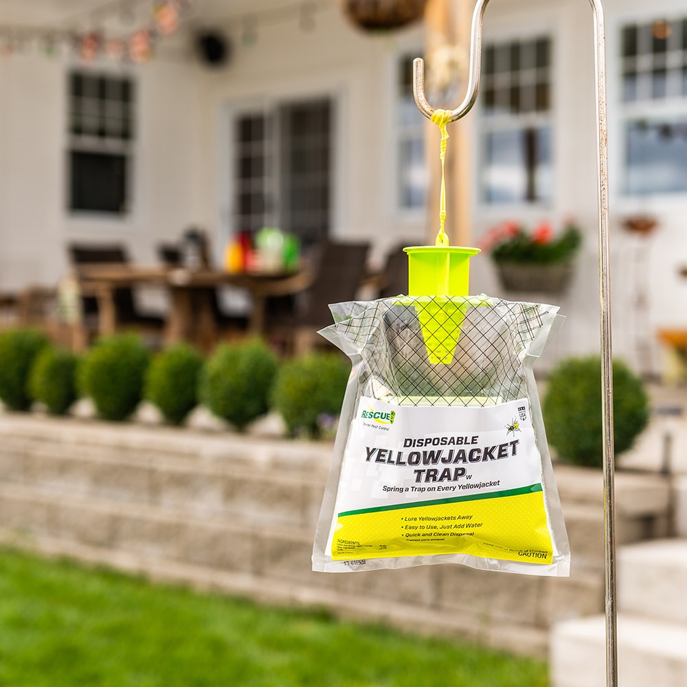 RESCUE! Disposable Yellowjacket Outdoor Insect Trap in the Insect Traps  department at