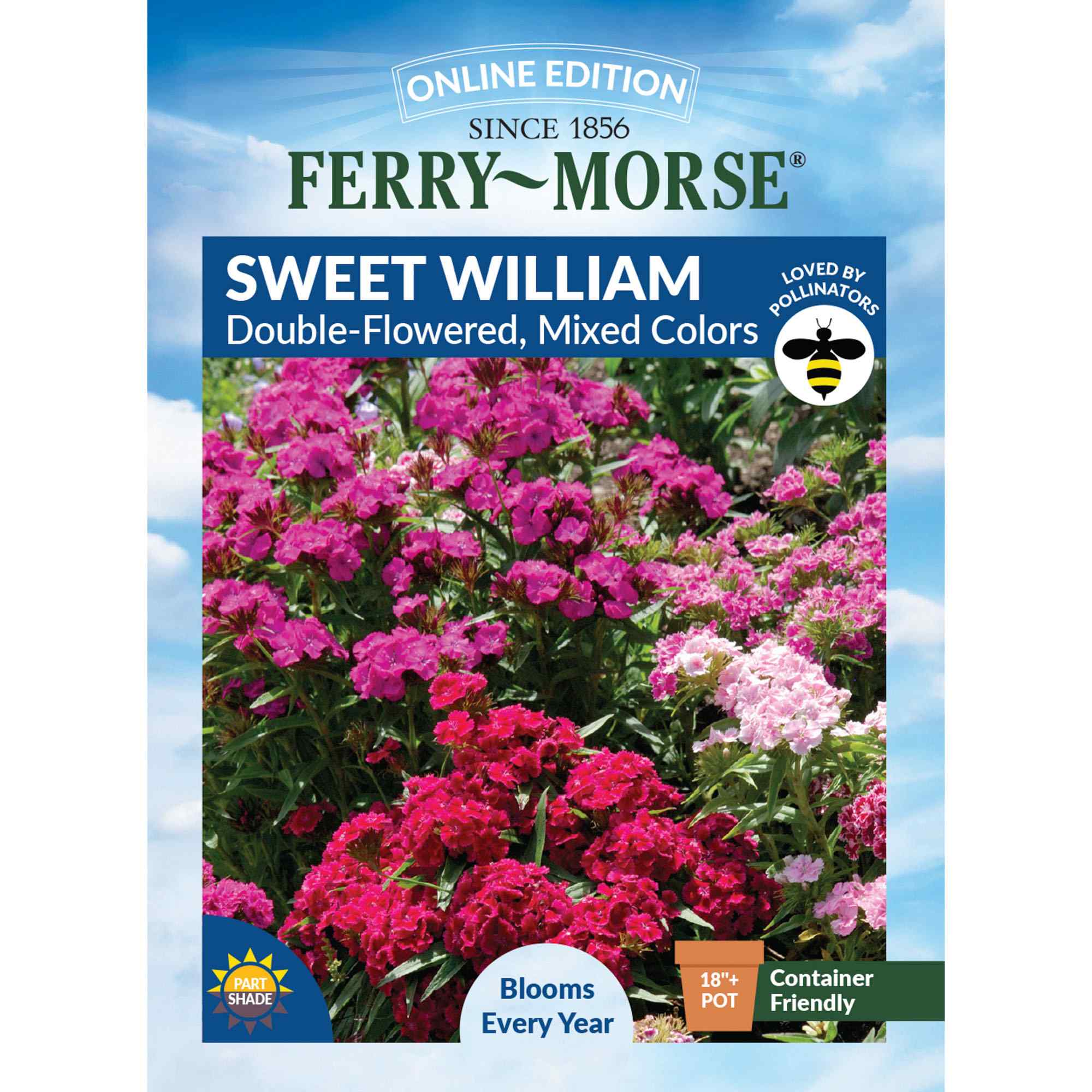 Ferry-Morse LC25.6611 Sweet William Seeds 700 Milligram(s)