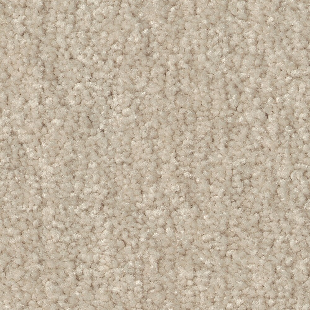 STAINMASTER (Sample) Blue Diamonds III Bleached Off-white 73.1-oz sq yard Polyester Textured Indoor Carpet