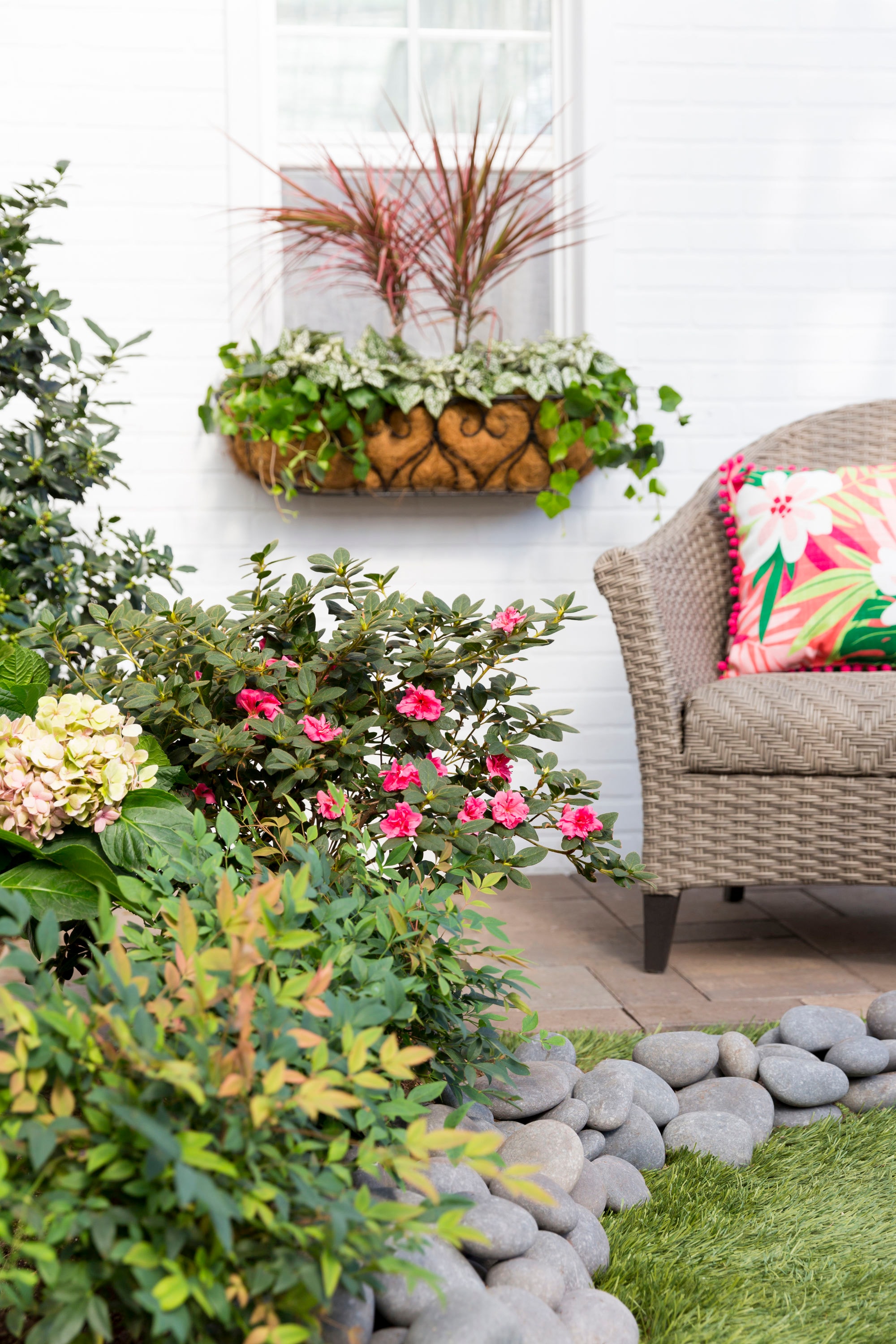 Lowe's 98481 shrubs - View #6