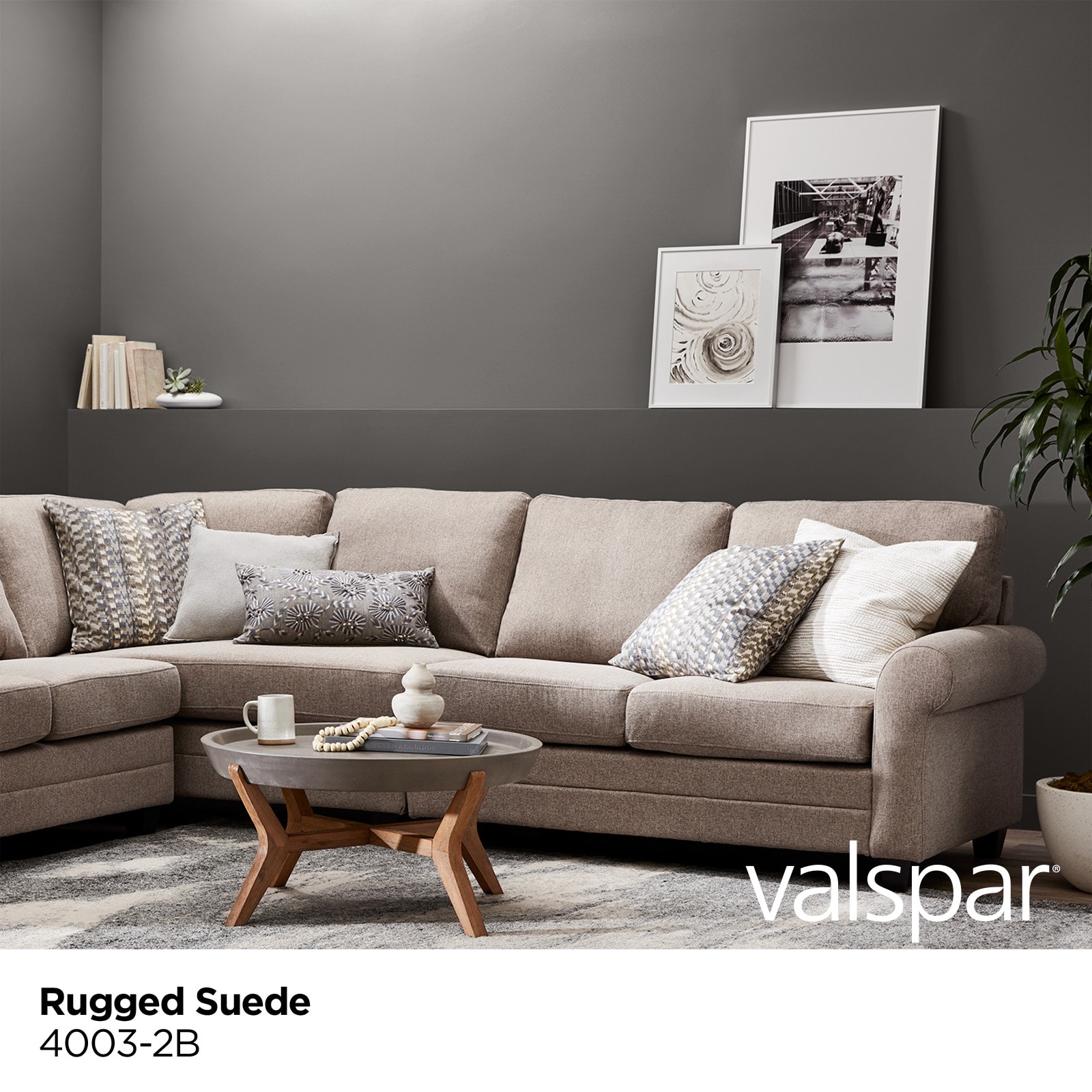 Valspar 4003-2B-2916579 Int-Ext-Paint - View #2