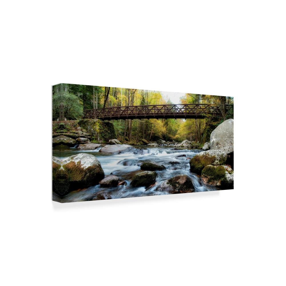 Trademark Fine Art WAG01127-C1019GG Wall-Art - View #2