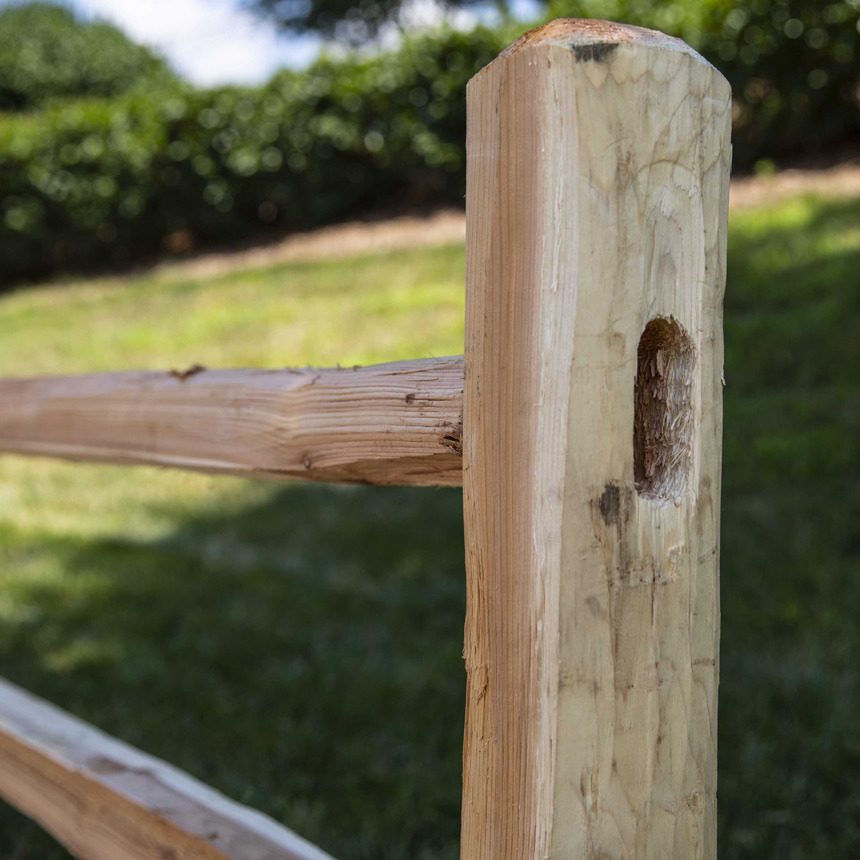  14581 Fence-Rails - View #2