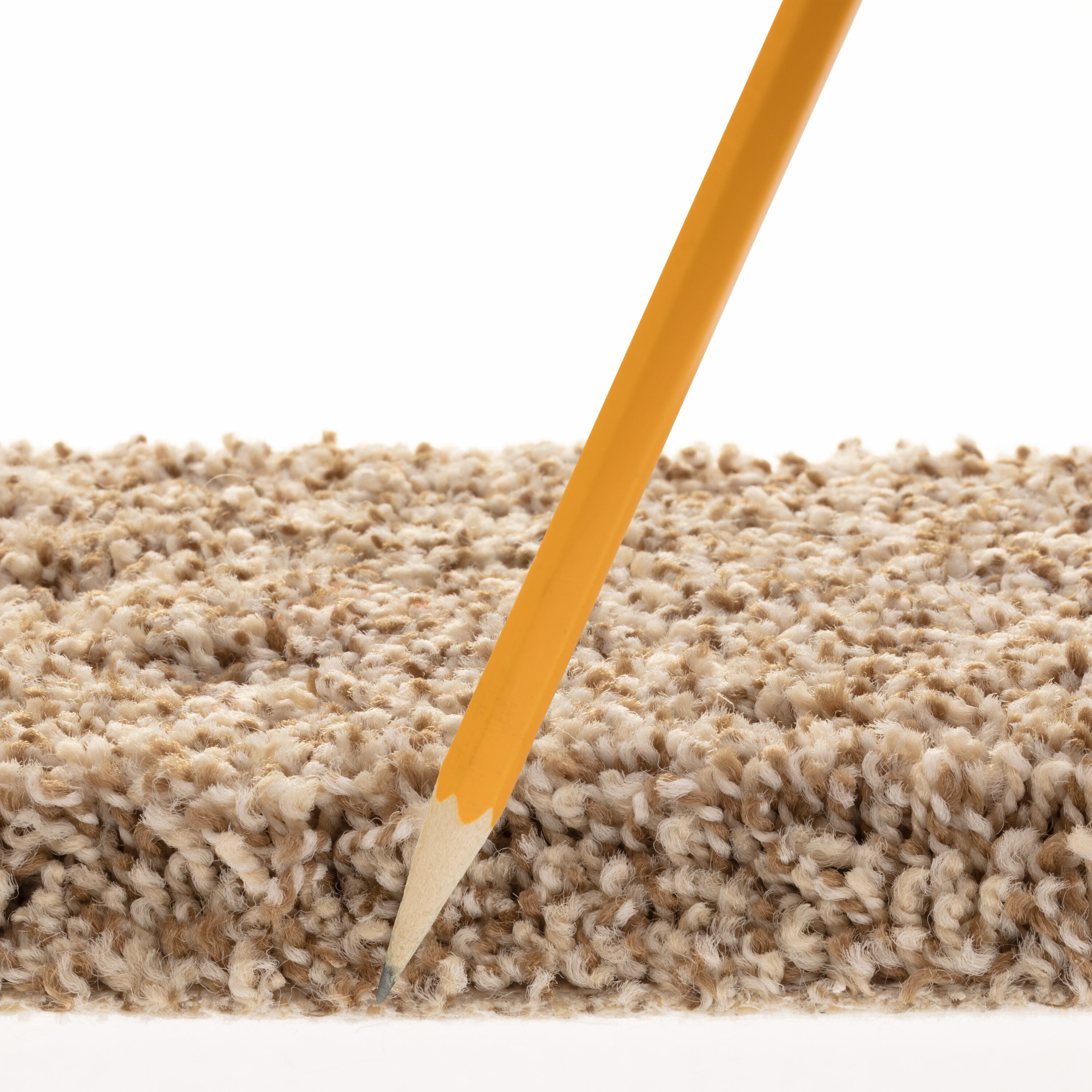 STAINMASTER PetProtect 7L860 - 734 - SAMP Carpet-Samples - View #7