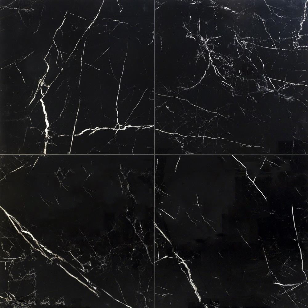 Artmore Tile EXT3RD101689 Grace Nero 24-in x 24-in Polished Porcelain Marble Look Floor and Wall Tile (15.49-sq. ft/ Carton)