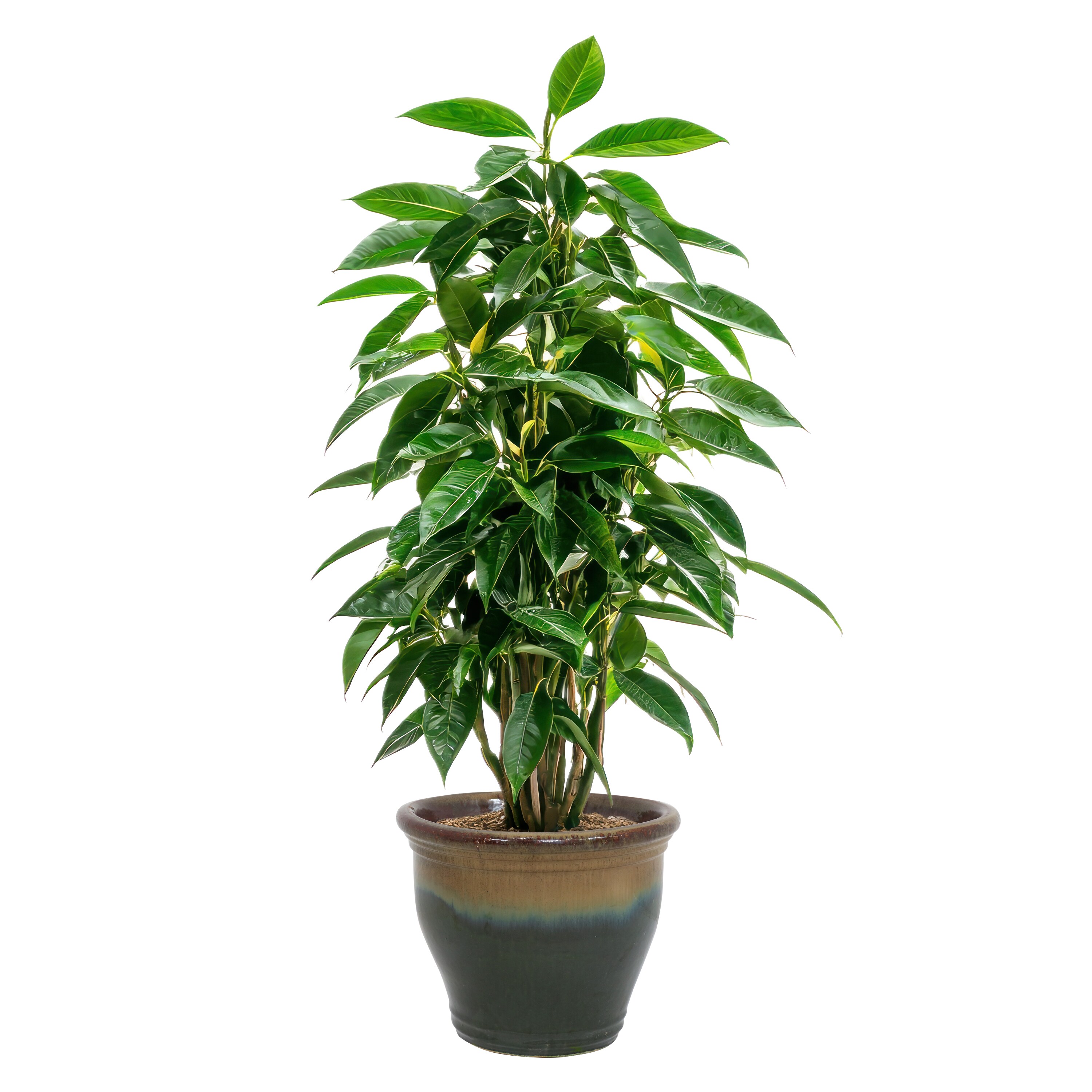 Sunnydaze Decor AP-964 Planter-Window-Box - View #7