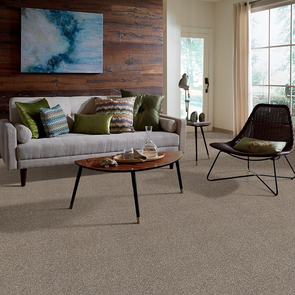 STAINMASTER B707300009 Carpet-Panel - View #5