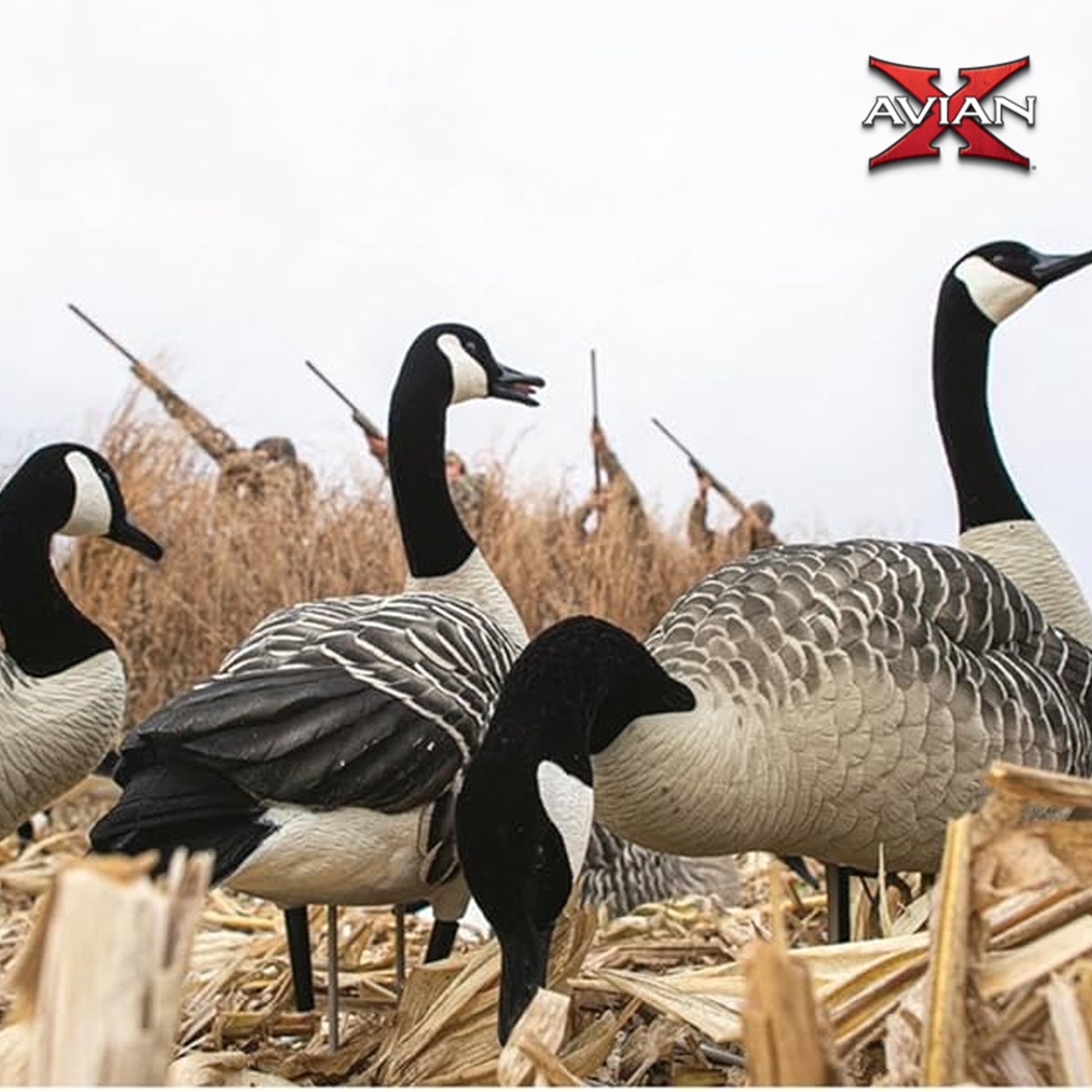  Avian X 408564 Hunting-Equipment - View #8
