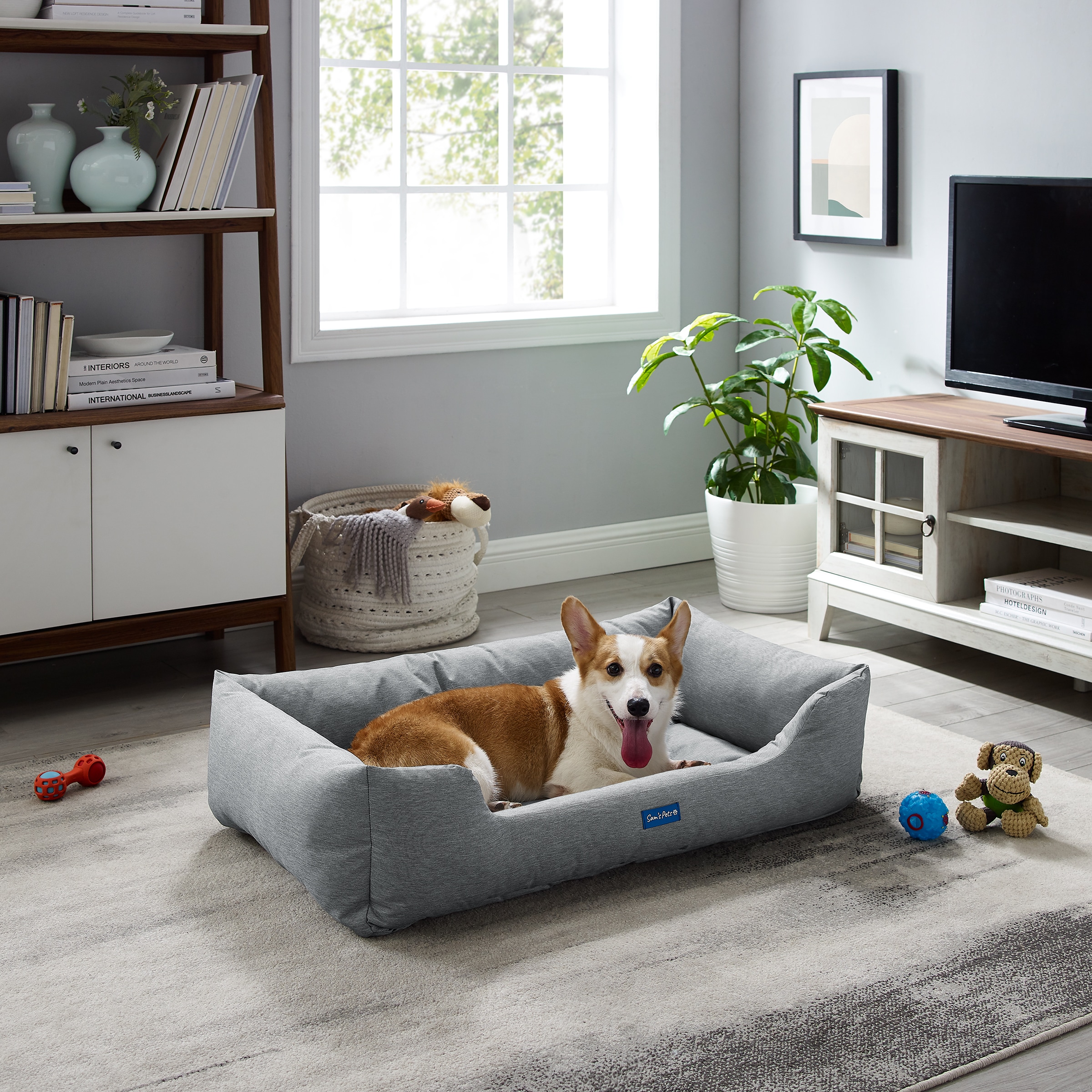 Sam's Pets Rectangular Gray Bolster Bed (Large) SP-DB1230GY at Lowes.com