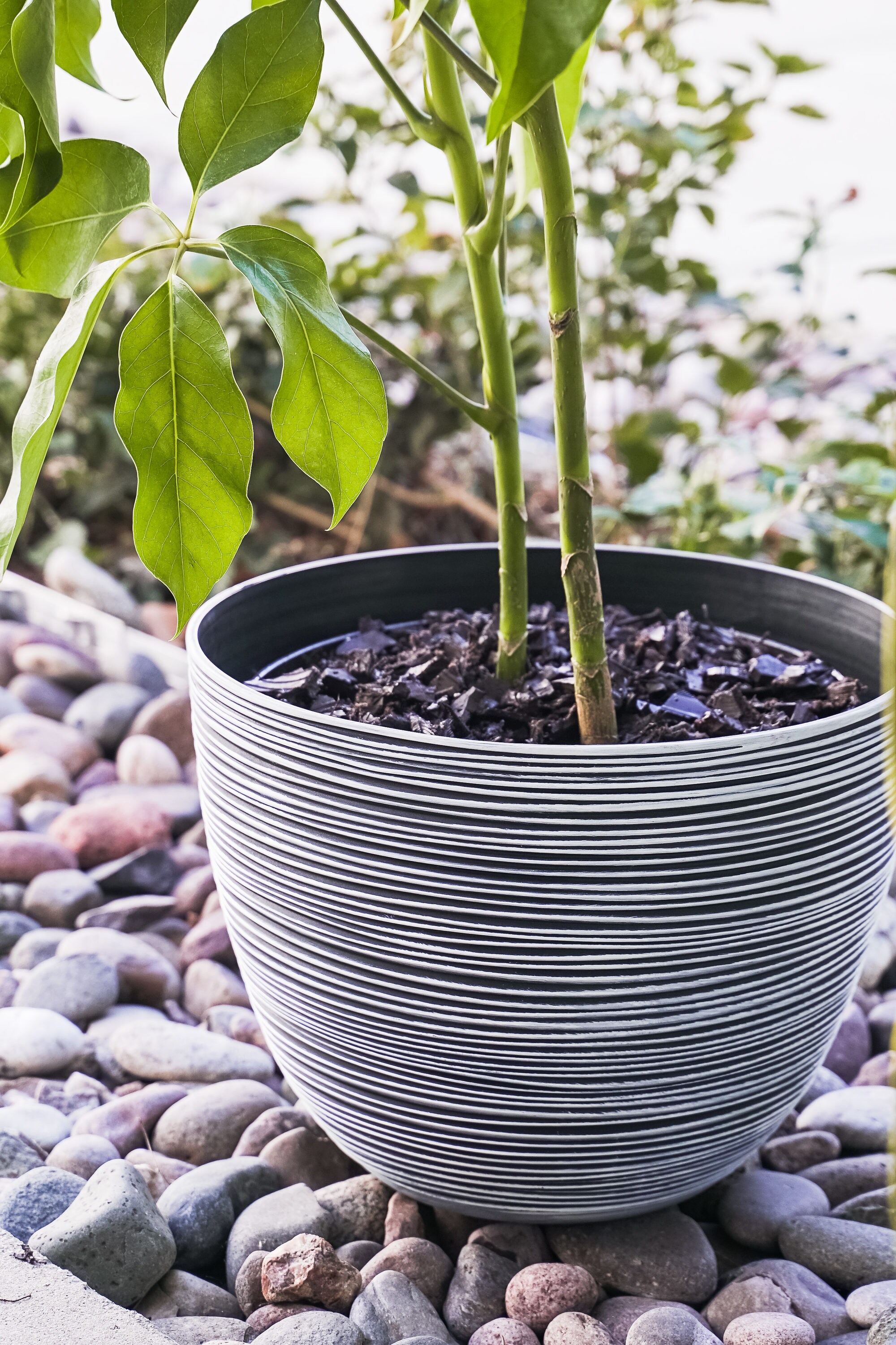 XBrand PL3417WT Planter-Window-Box - View #2