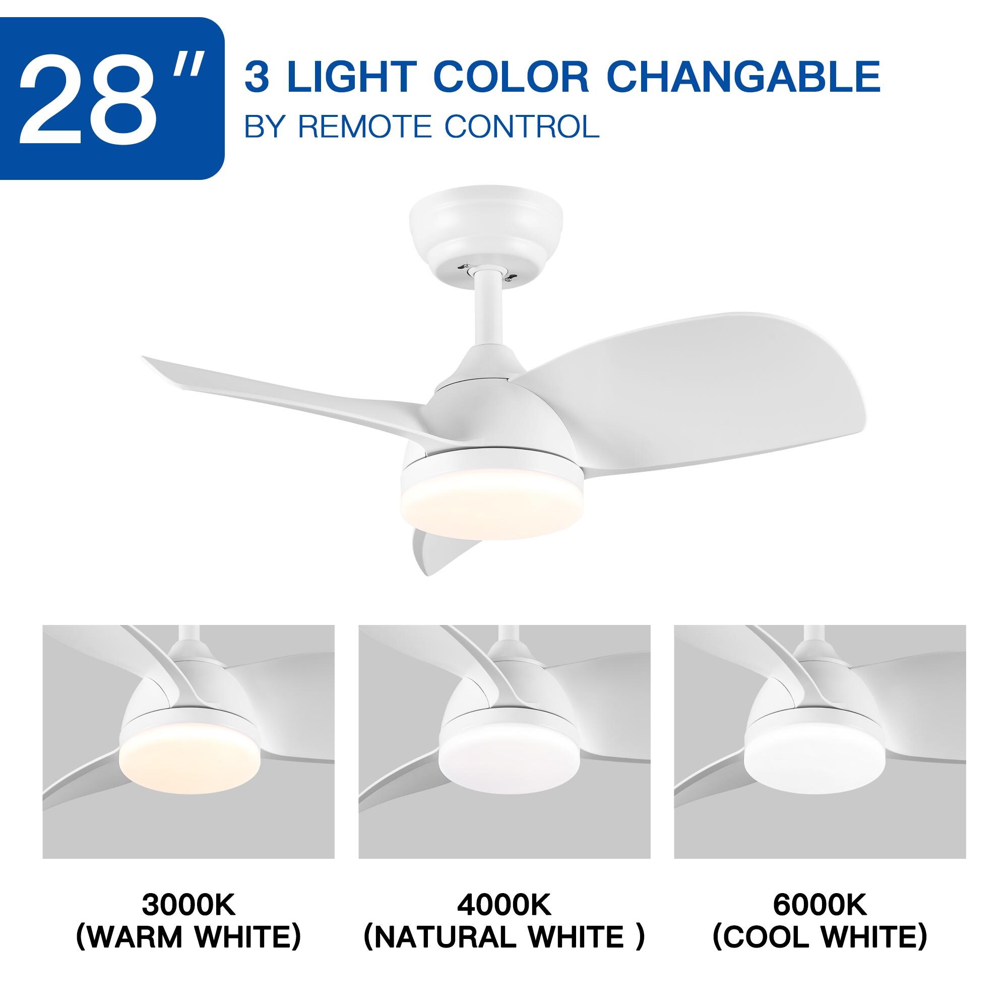Bayfeve BFYH-5951 Ceiling-Fans - View #11