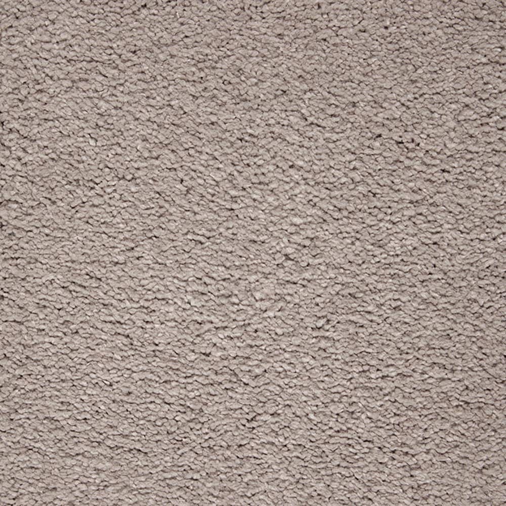 STAINMASTER PetProtect STP55-L002-0808 (Sample) Purrfectly Pampered Autumn Fog Brown 60-oz sq yard Triexta Textured Indoor Carpet