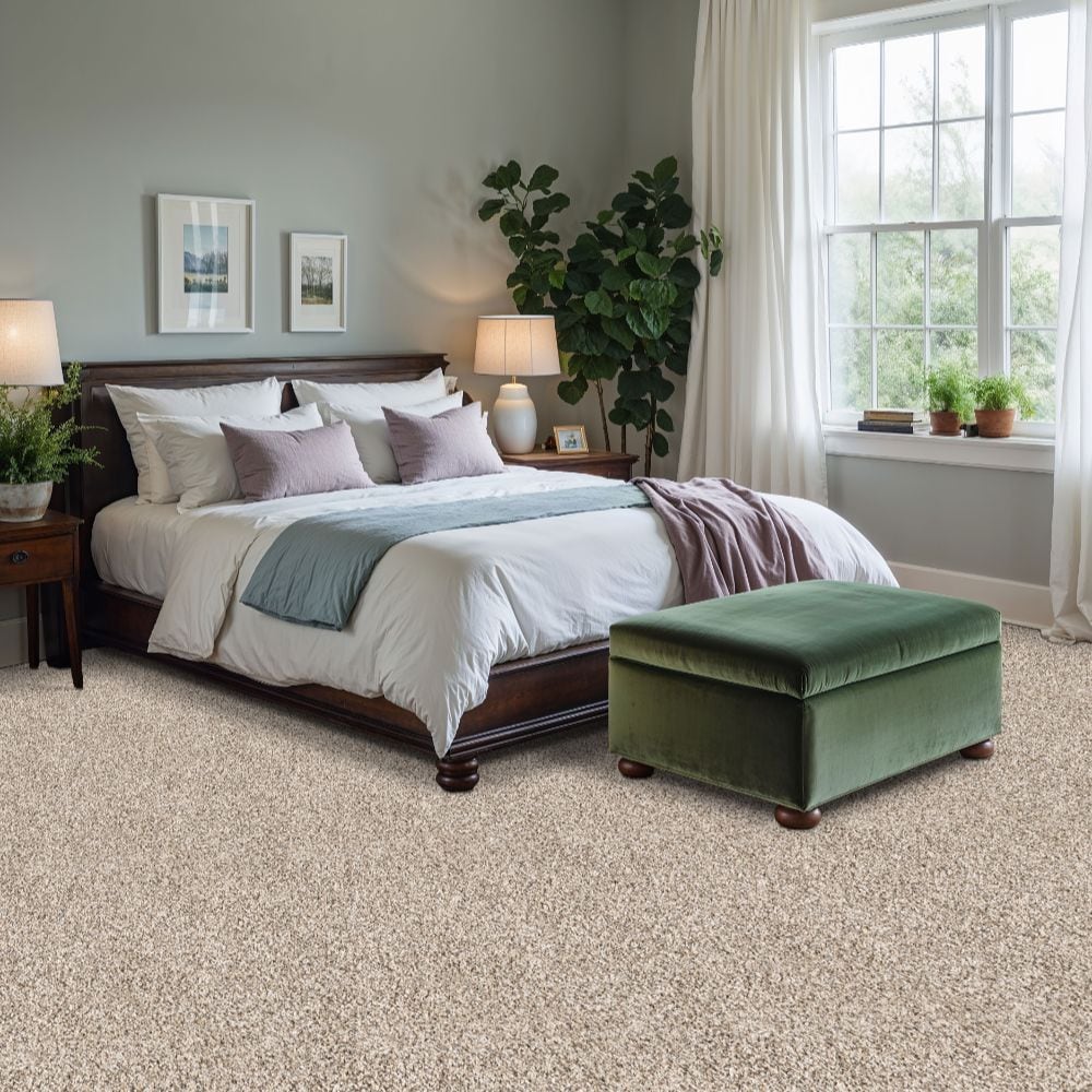 STAINMASTER SS052-L005-S0808 Carpet-Samples - View #5