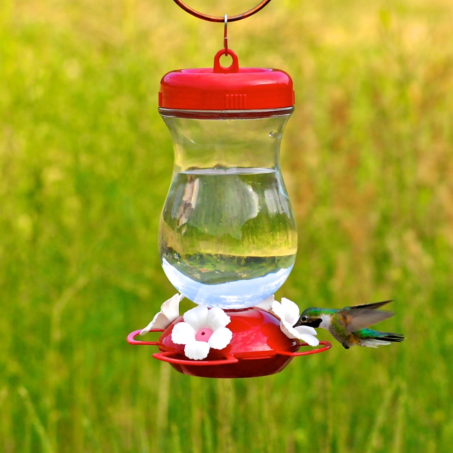 Perky-Pet 132TF Bird-Feeders - View #2