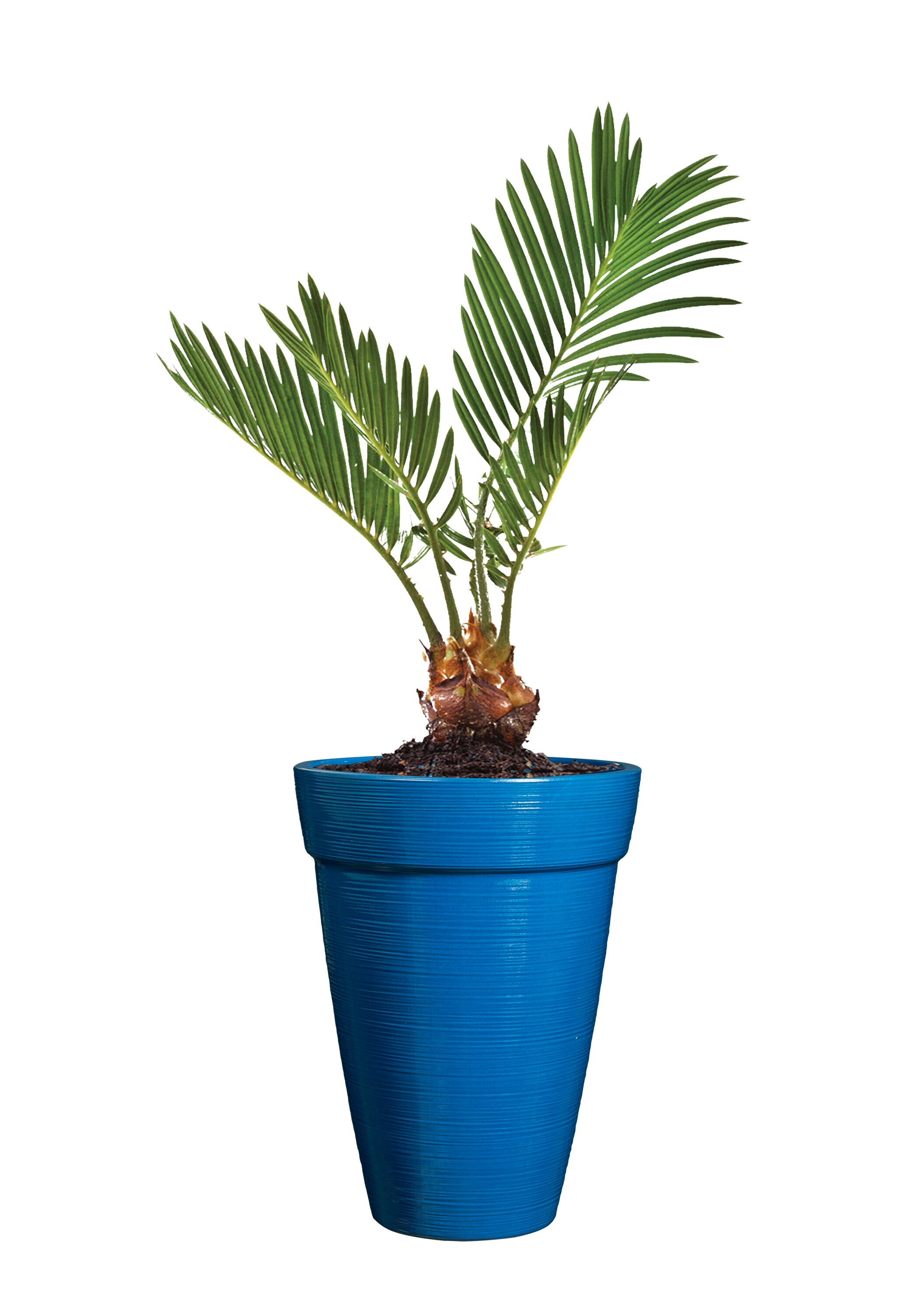 allen + roth US630278 Planter-Window-Box - View #12
