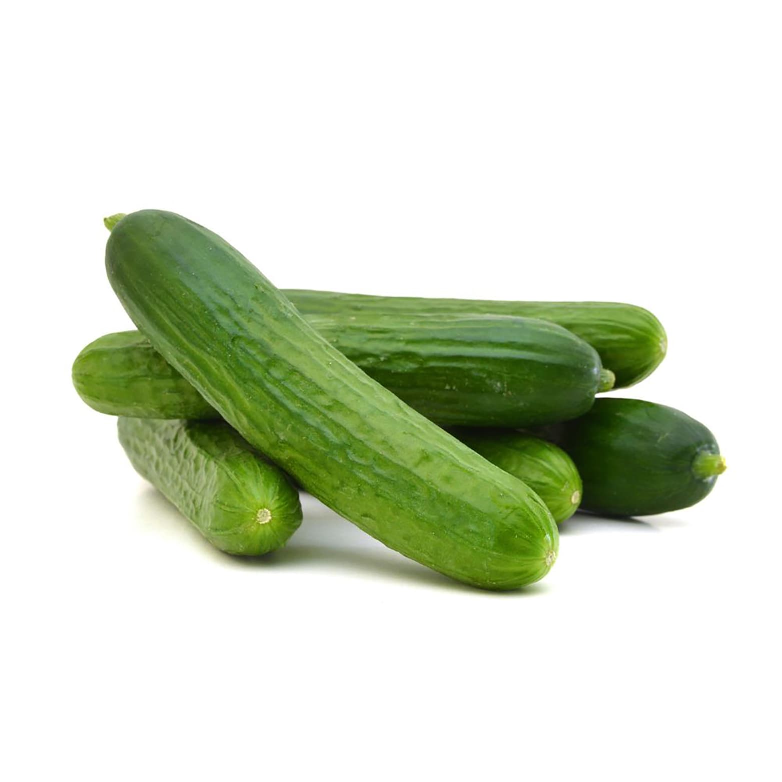 Proven Winners VEGCUC1037504 4 -Pack Munch. Cucumber Plant in Pot
