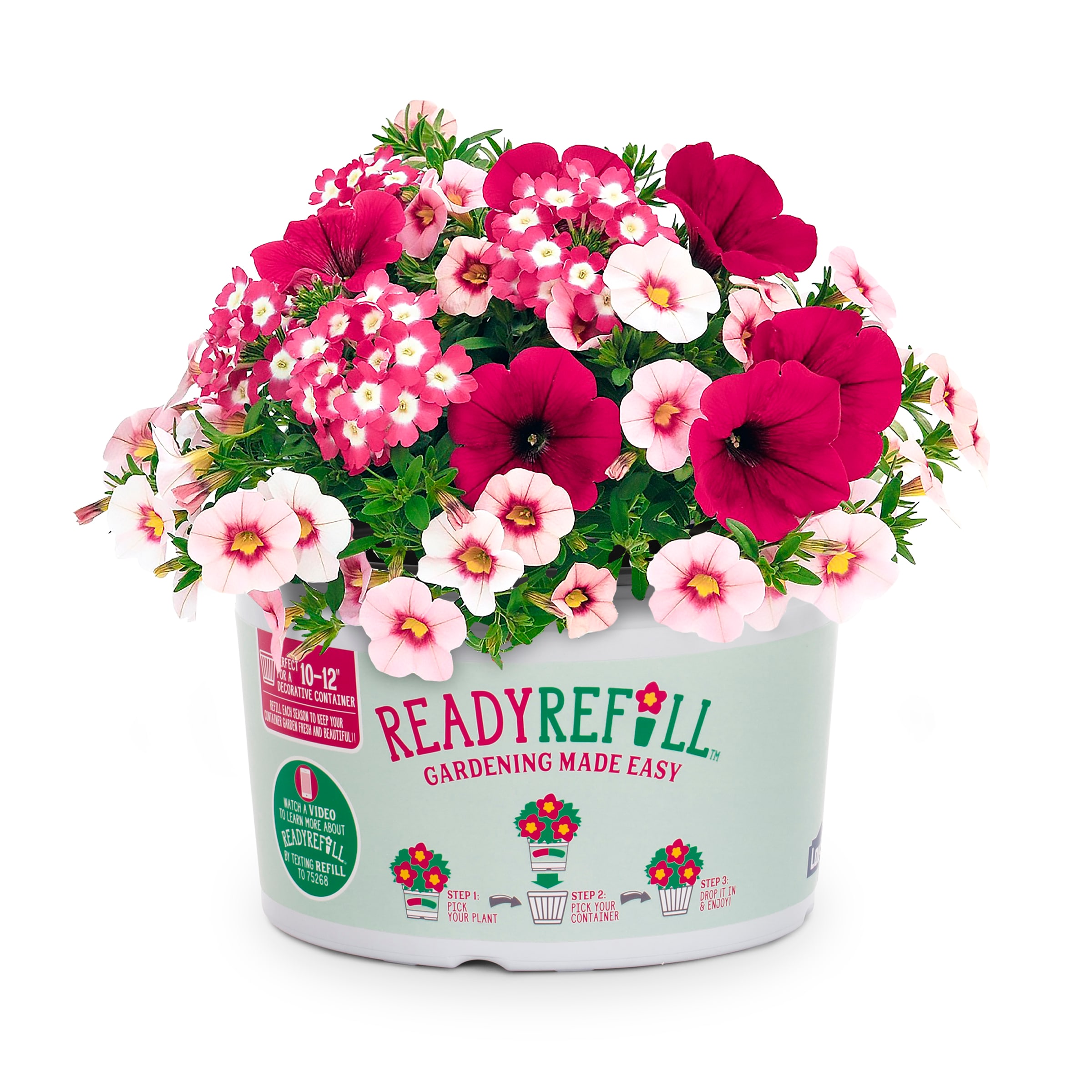 Ready Refill NURSERY Multicolor Berry Basket in 1.5-Gallon Pot