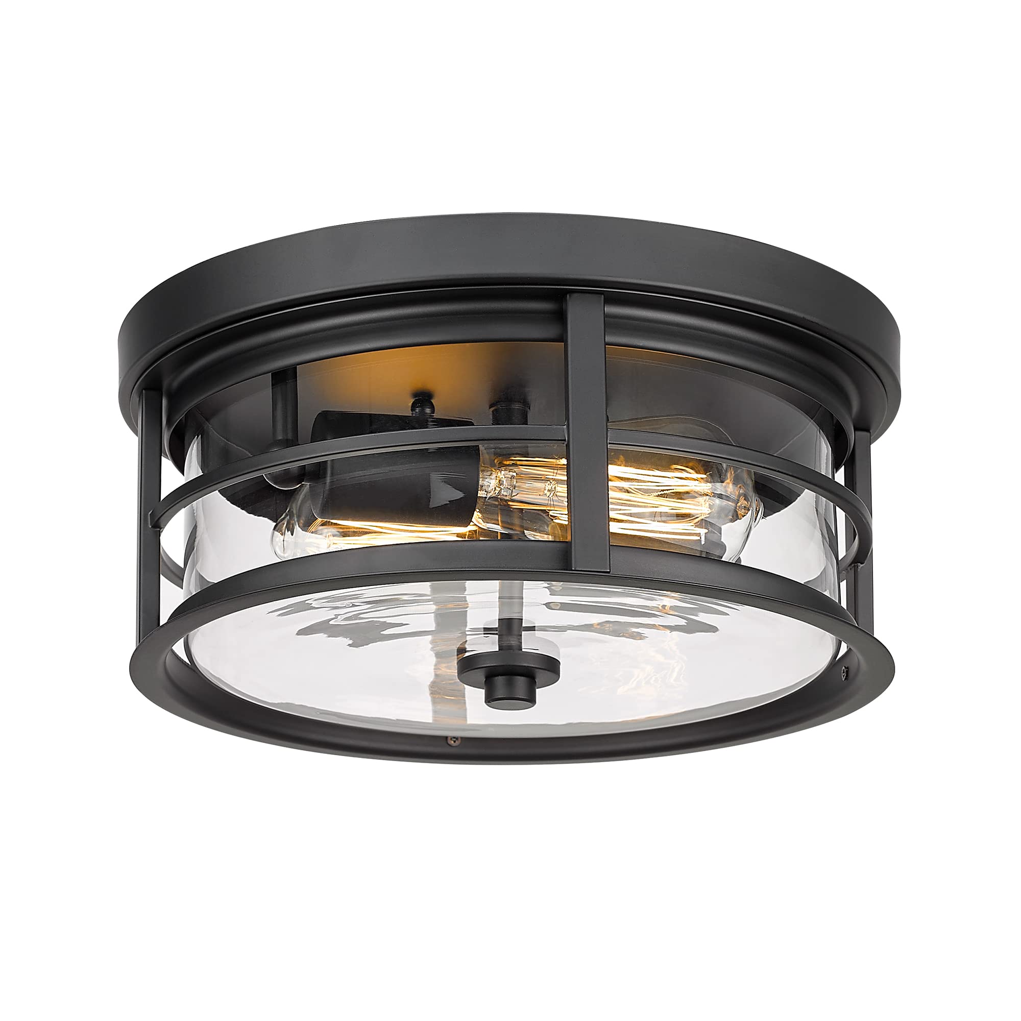 IUEST  Flush Mount Ceiling Light 12inch 2 Light Metal Close to Ceiling Fixture Matte Black Finish with Clear Glass Shade for Hallway Entryway