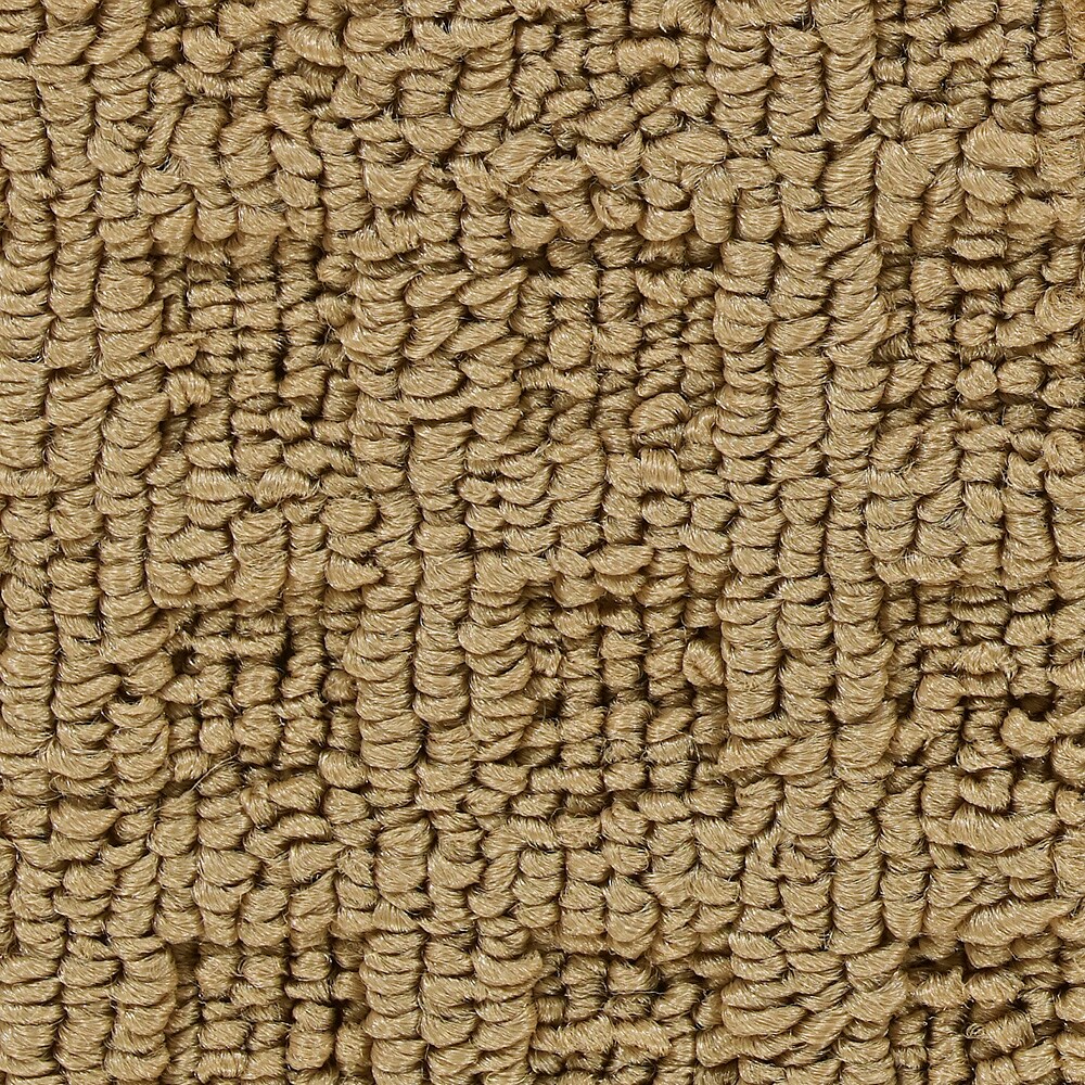 Coronet B7064-02-1200-AB 15-ft Program Sharing Berber/Loop Interior Carpet
