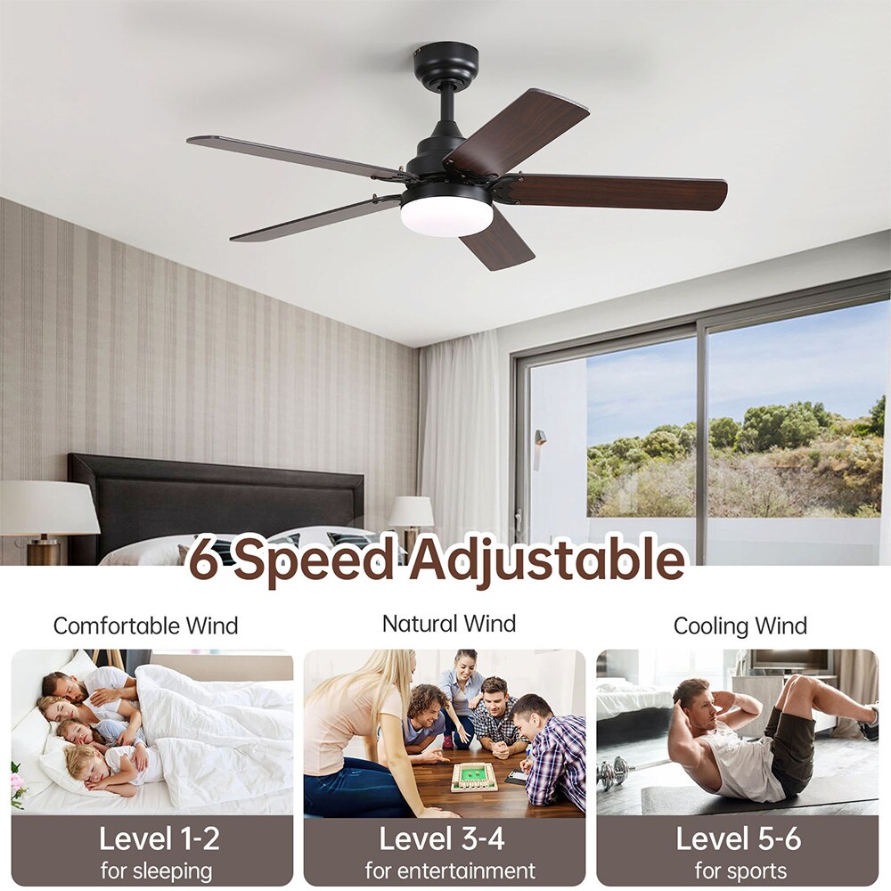 Sofucor LW-42K009-BK Ceiling-Fans - View #7